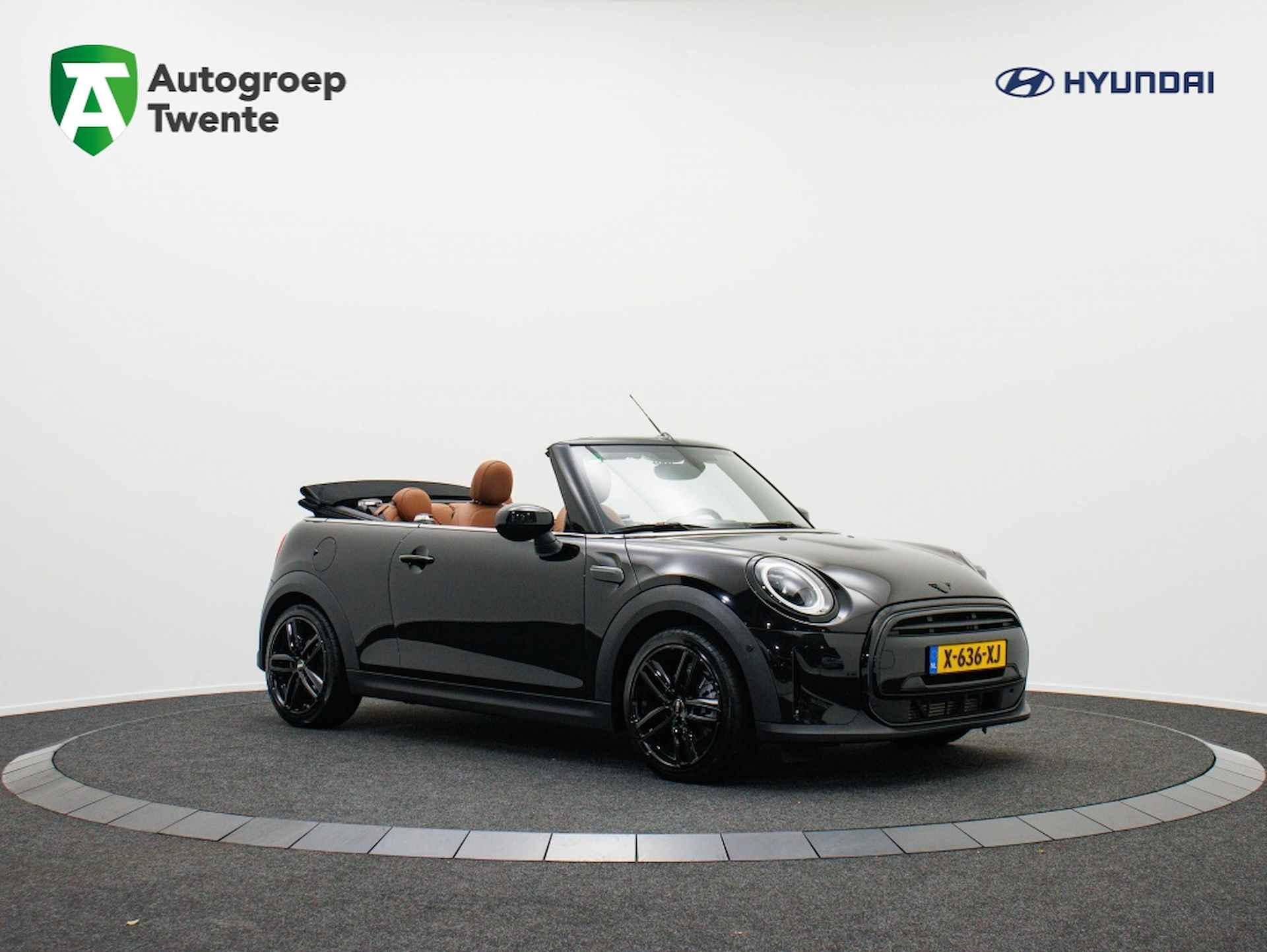 Mini Cabrio BOVAG 40-Puntencheck