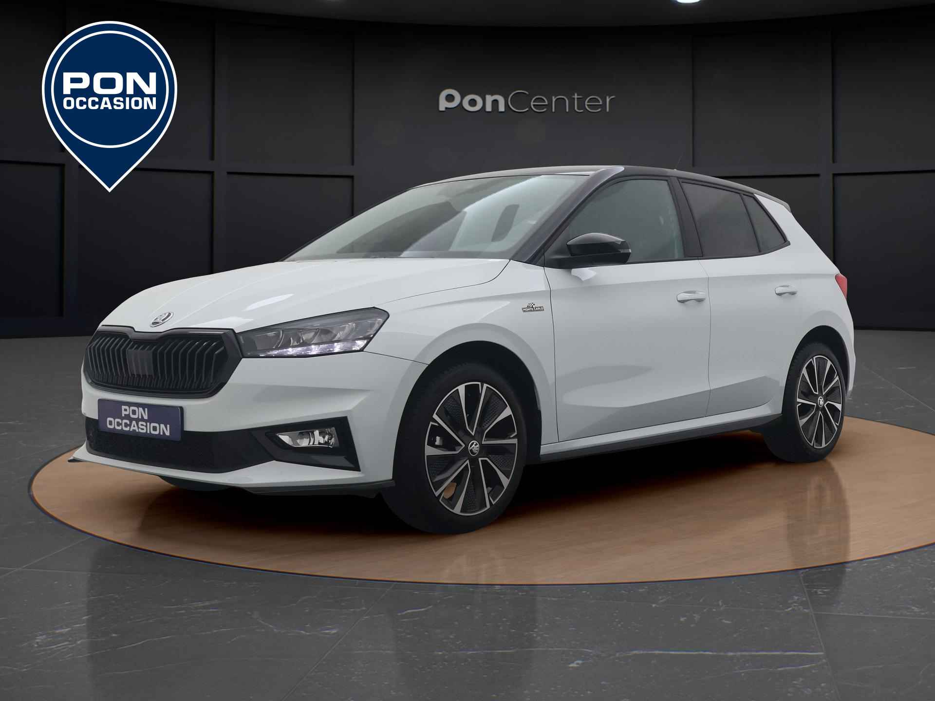 Škoda Fabia BOVAG 40-Puntencheck