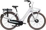 GIANT Triple X E+ 1 (300wh) Dames Good Grey S 45cm S 2023