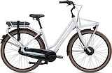 GIANT Triple X E+ 1 (300wh) Dames Good Grey S 45cm S 2024