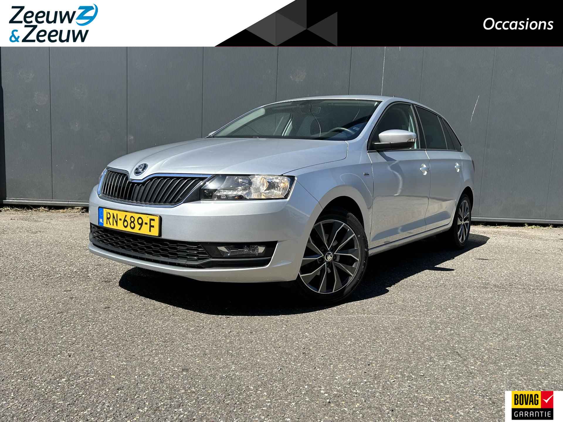 Škoda Rapid BOVAG 40-Puntencheck