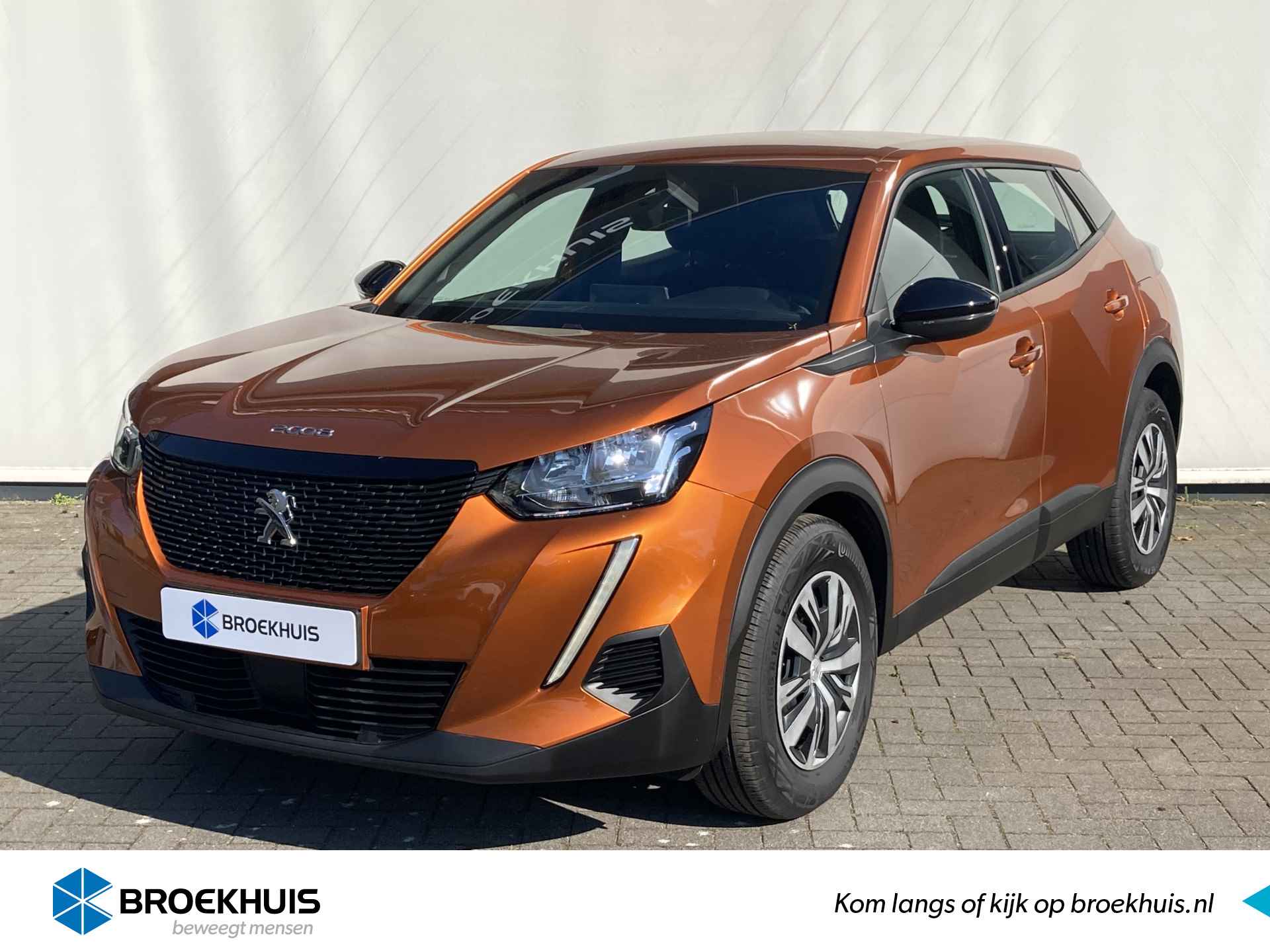 Peugeot 2008 BOVAG 40-Puntencheck