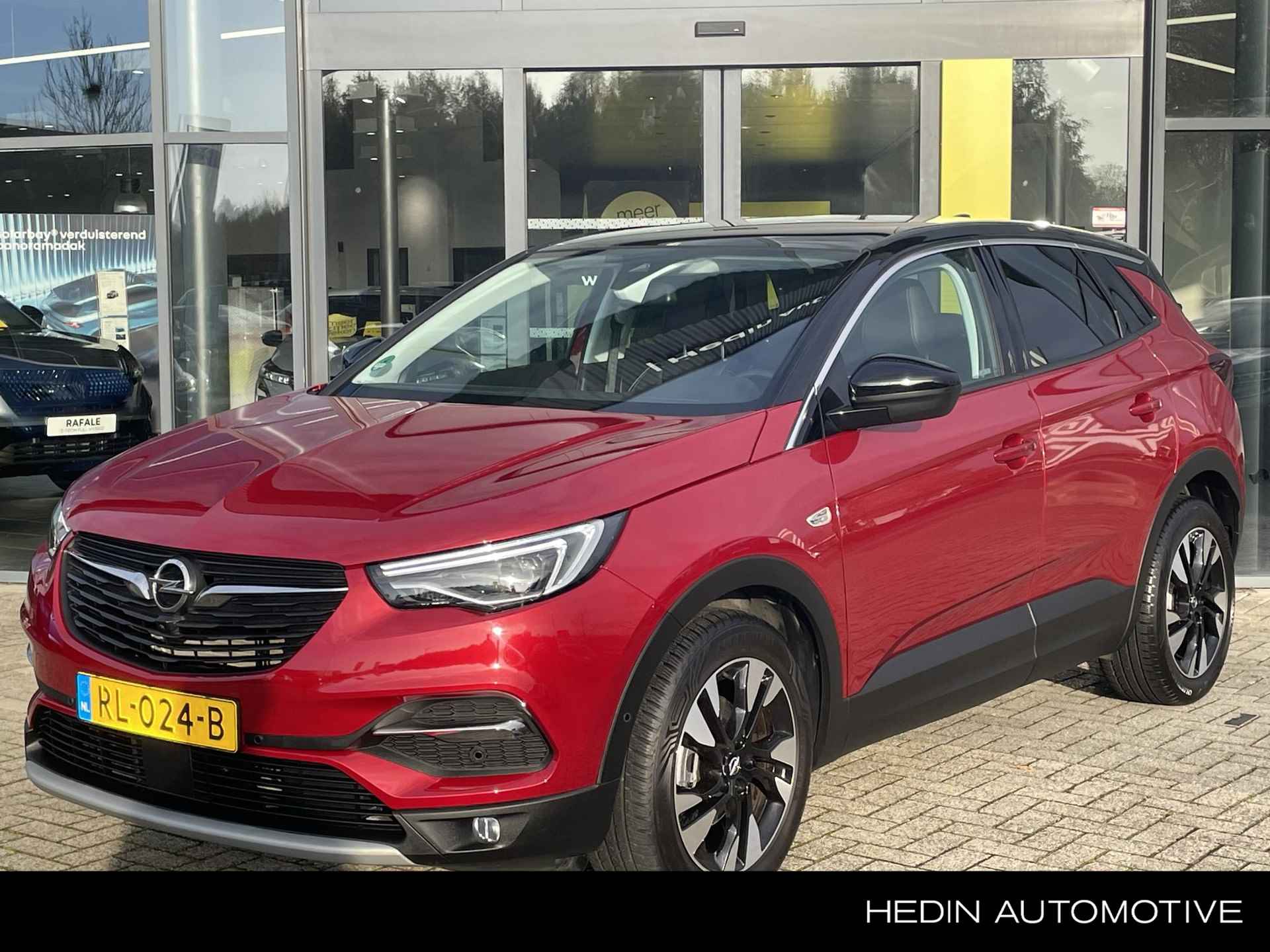 Opel Grandland X BOVAG 40-Puntencheck