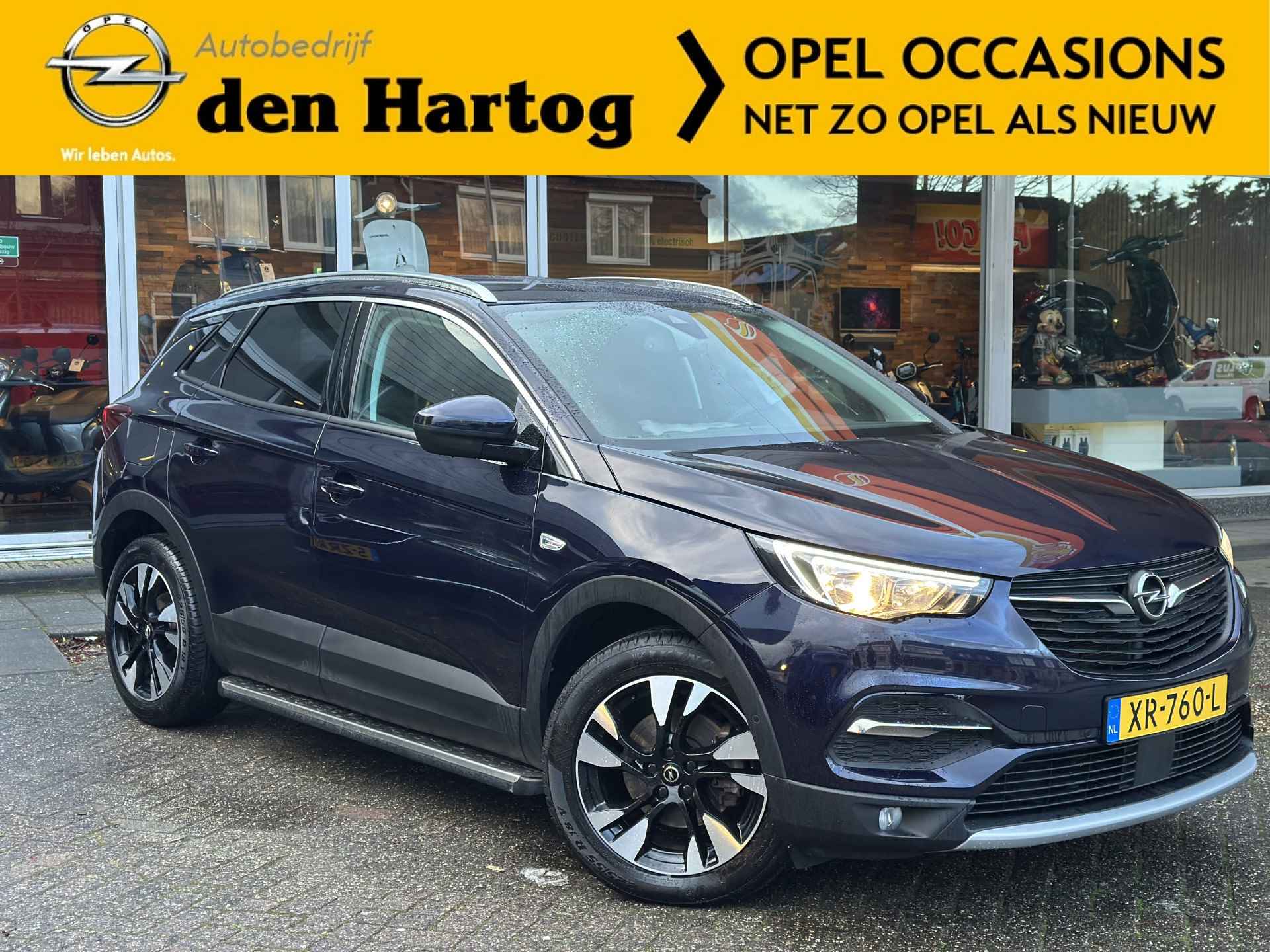 Opel Grandland X BOVAG 40-Puntencheck