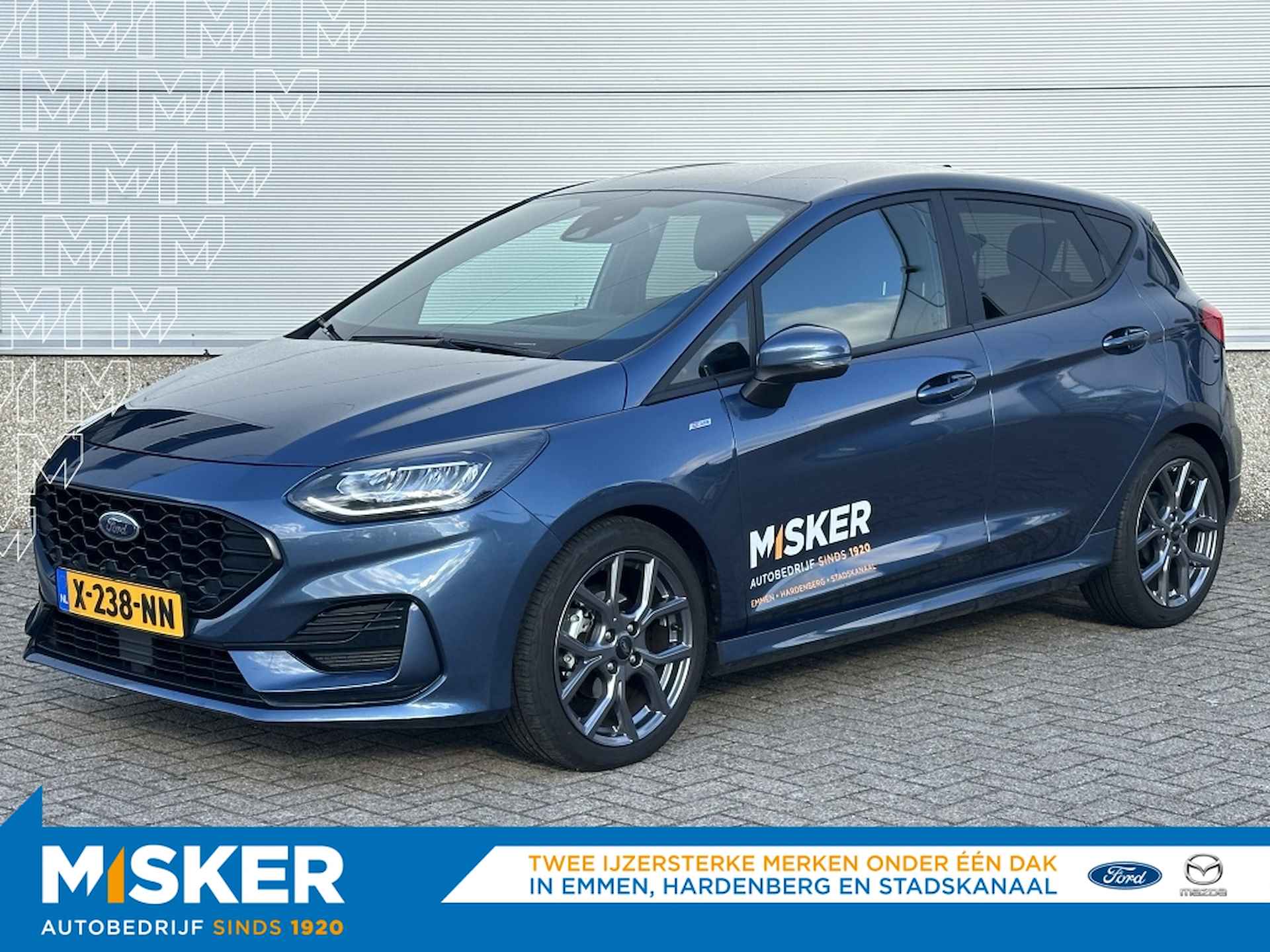 Ford Fiesta BOVAG 40-Puntencheck