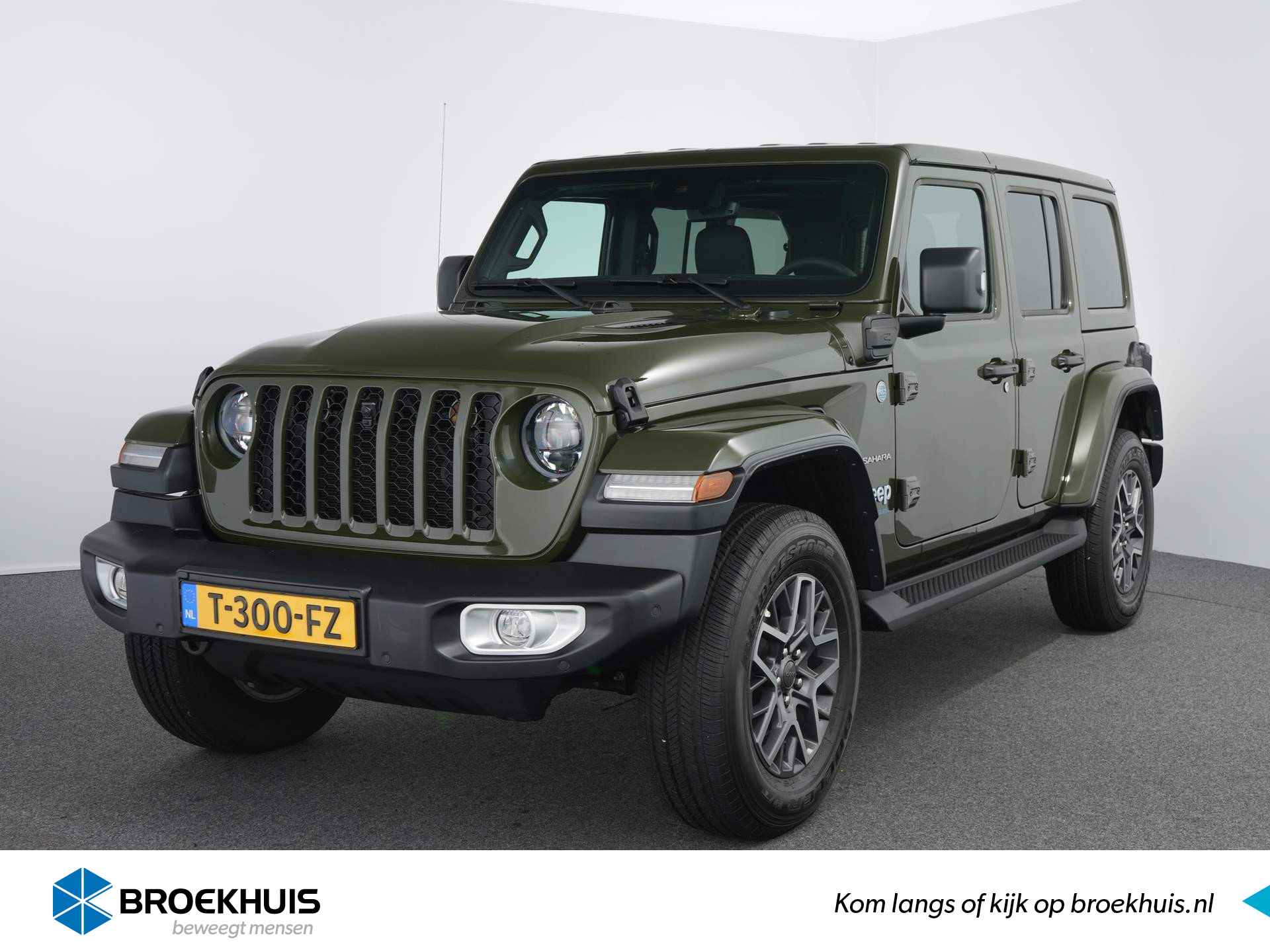 Jeep Wrangler BOVAG 40-Puntencheck