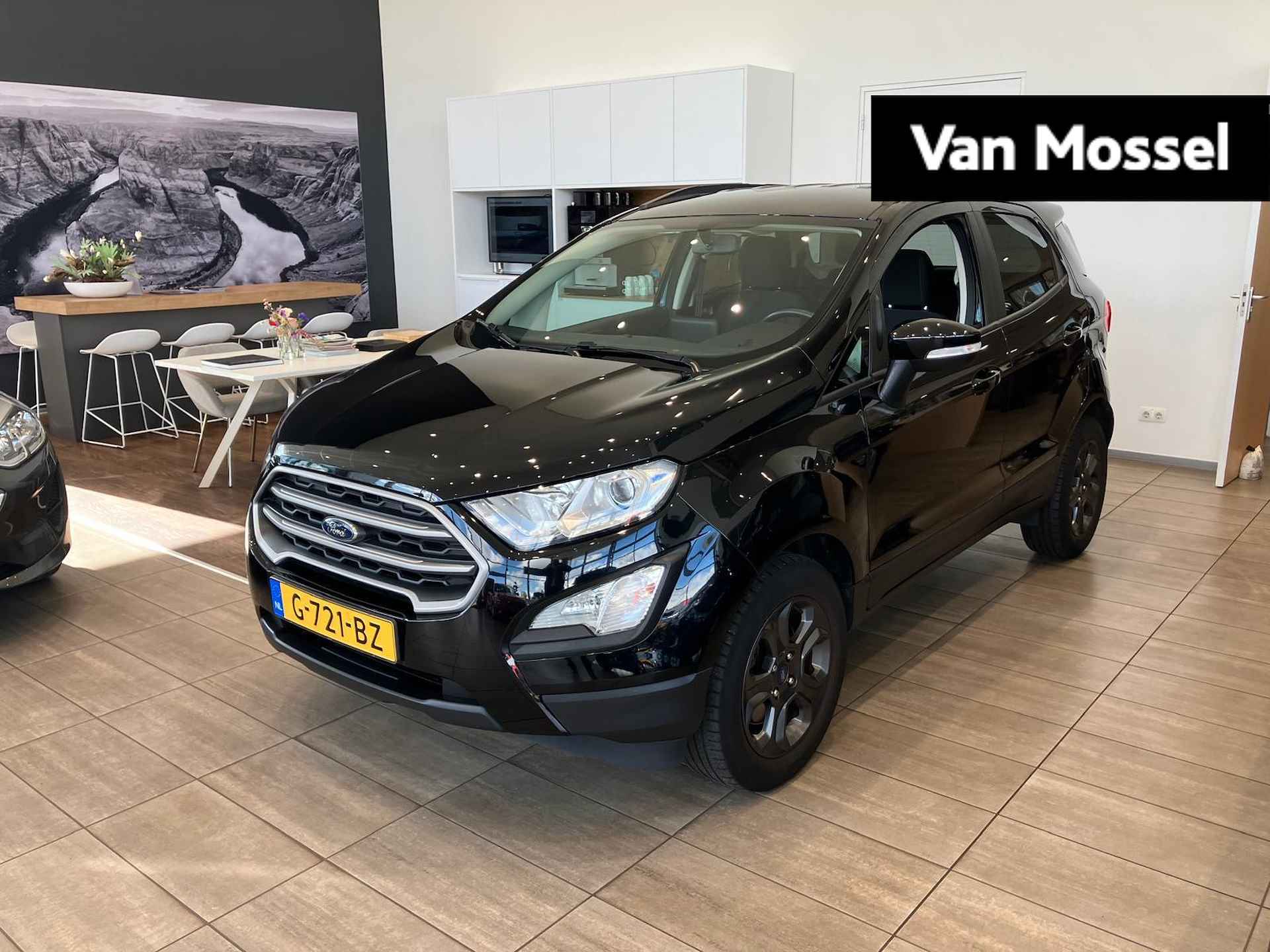 Ford EcoSport BOVAG 40-Puntencheck