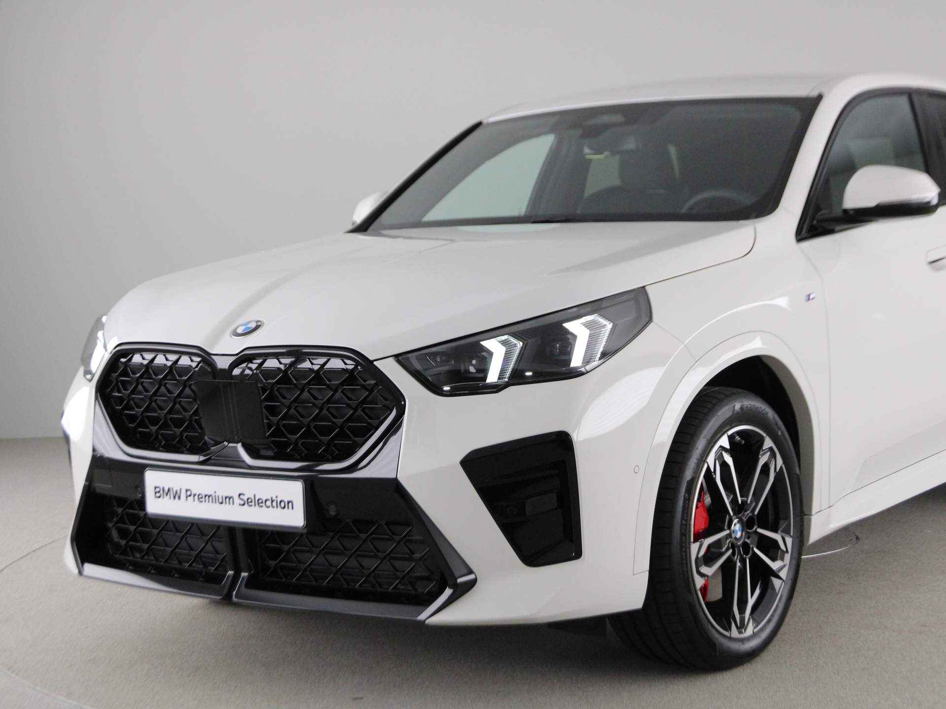 BMW X2 sDrive20i M-Sport - 21/23