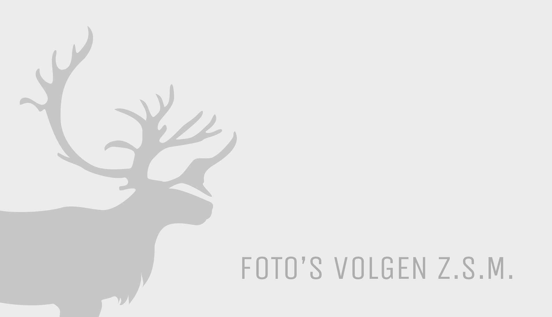 Volvo V60 2.0 D4 180pk Summum Automaat | Leer | Trekhaak | - 14/14
