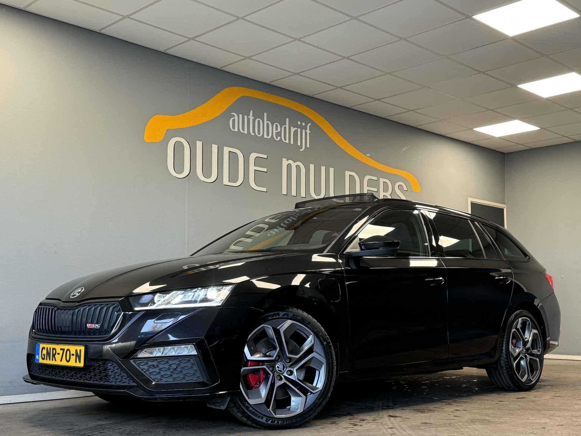 Škoda Octavia BOVAG 40-Puntencheck