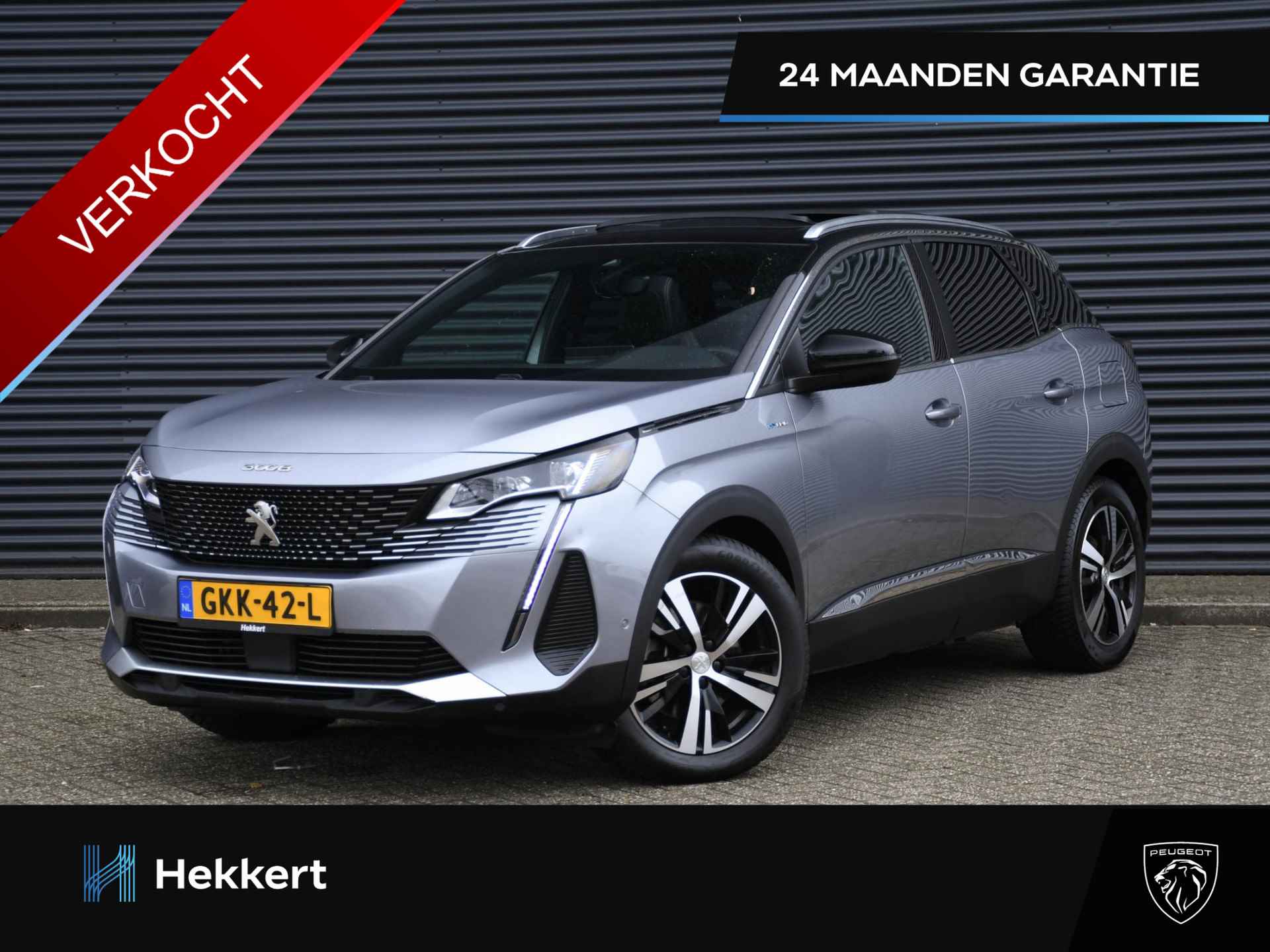 Peugeot 3008 BOVAG 40-Puntencheck