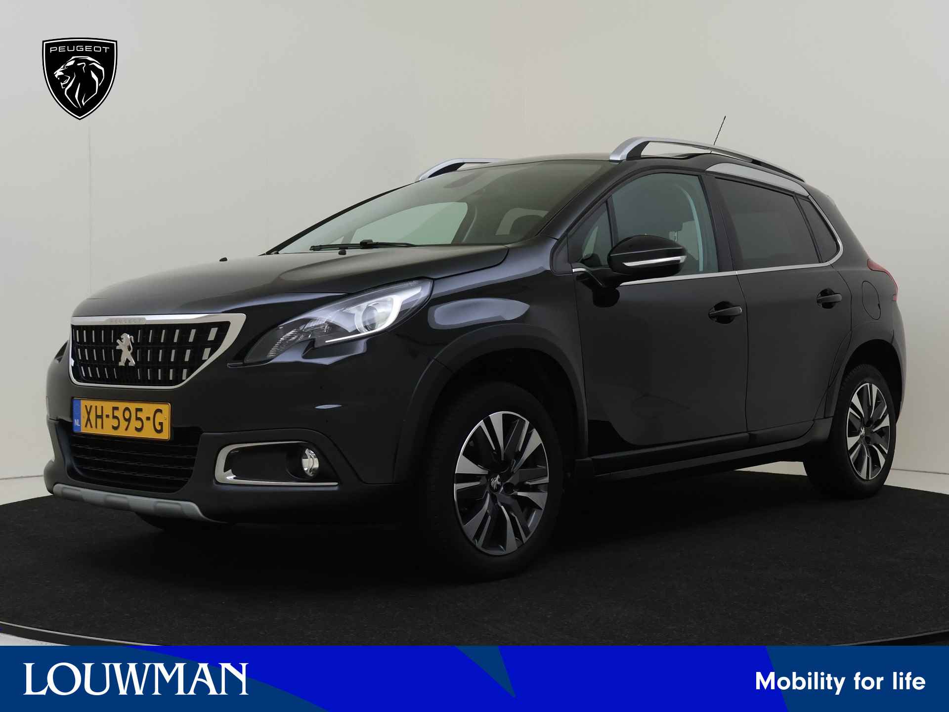 Peugeot 2008 BOVAG 40-Puntencheck