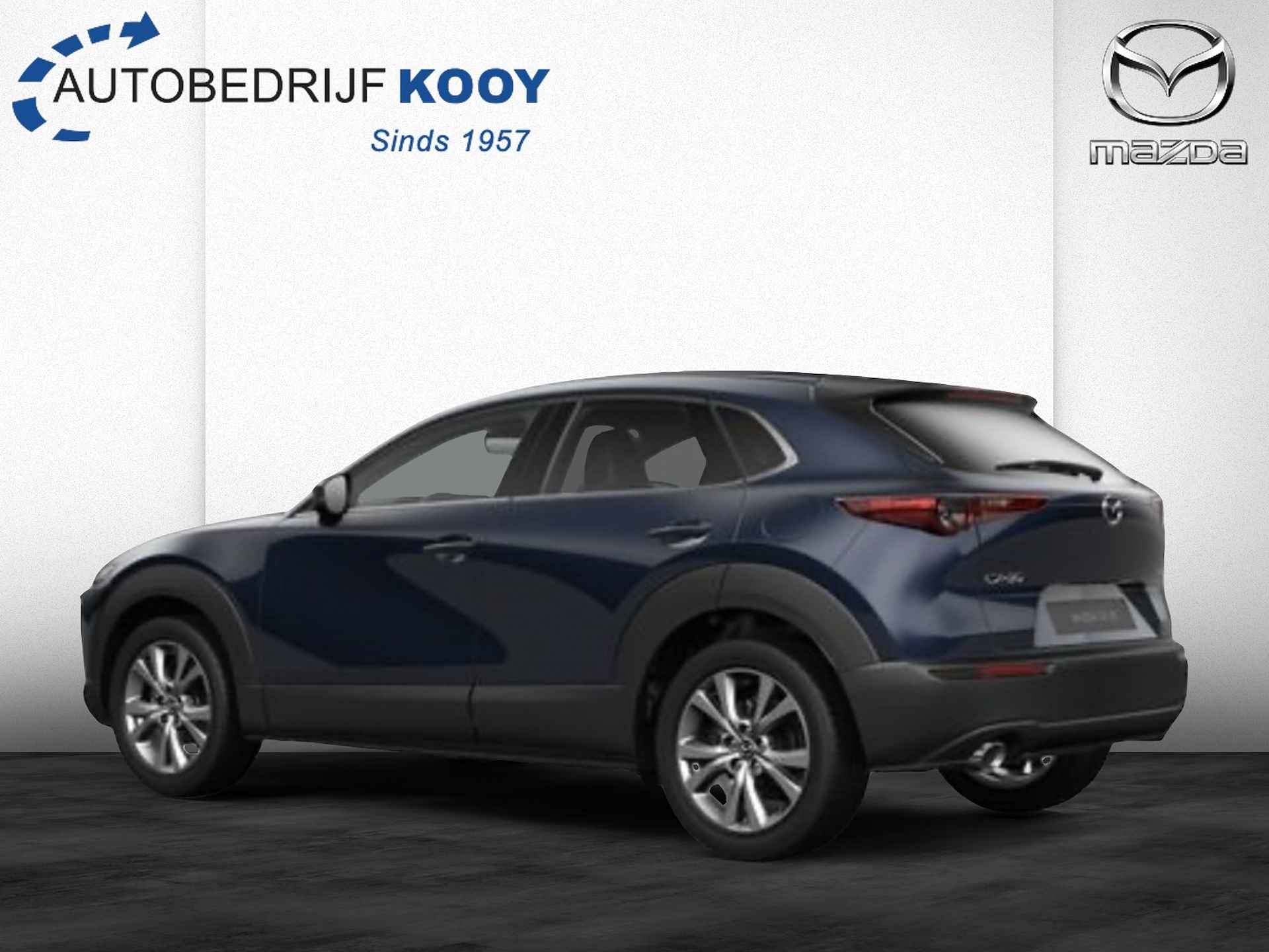 Mazda CX-30 2.0 eSkyActiv-X Takumi AT  - zwart leder - 9/20