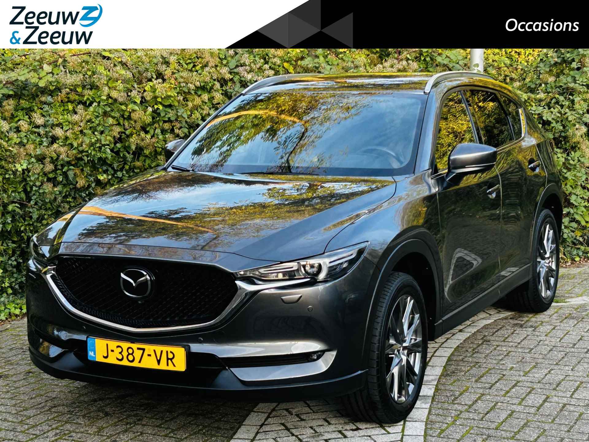 Mazda CX-5 BOVAG 40-Puntencheck