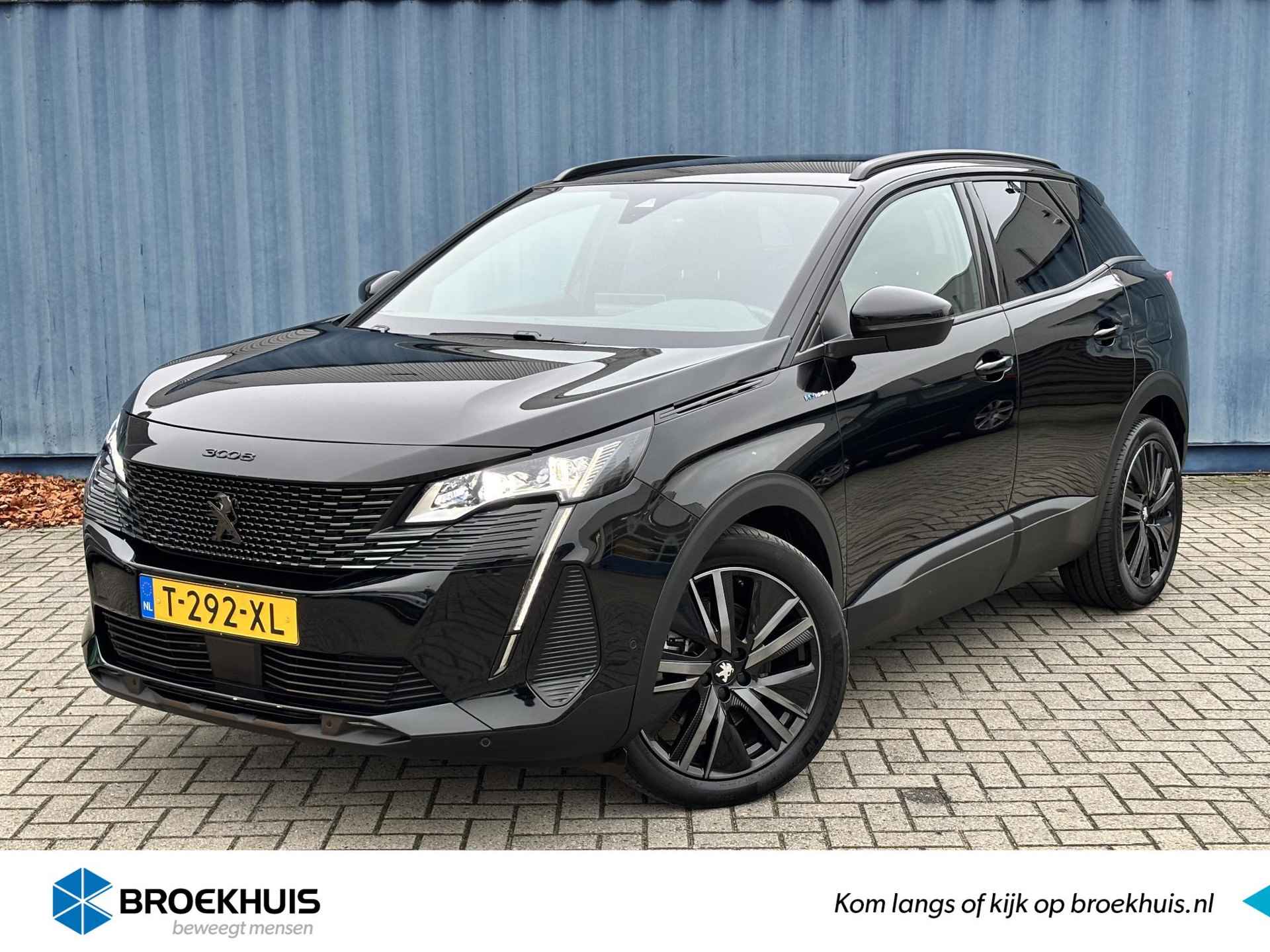 Peugeot 3008 BOVAG 40-Puntencheck