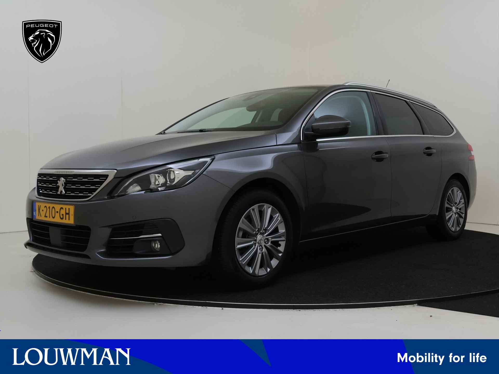 Peugeot 308 BOVAG 40-Puntencheck