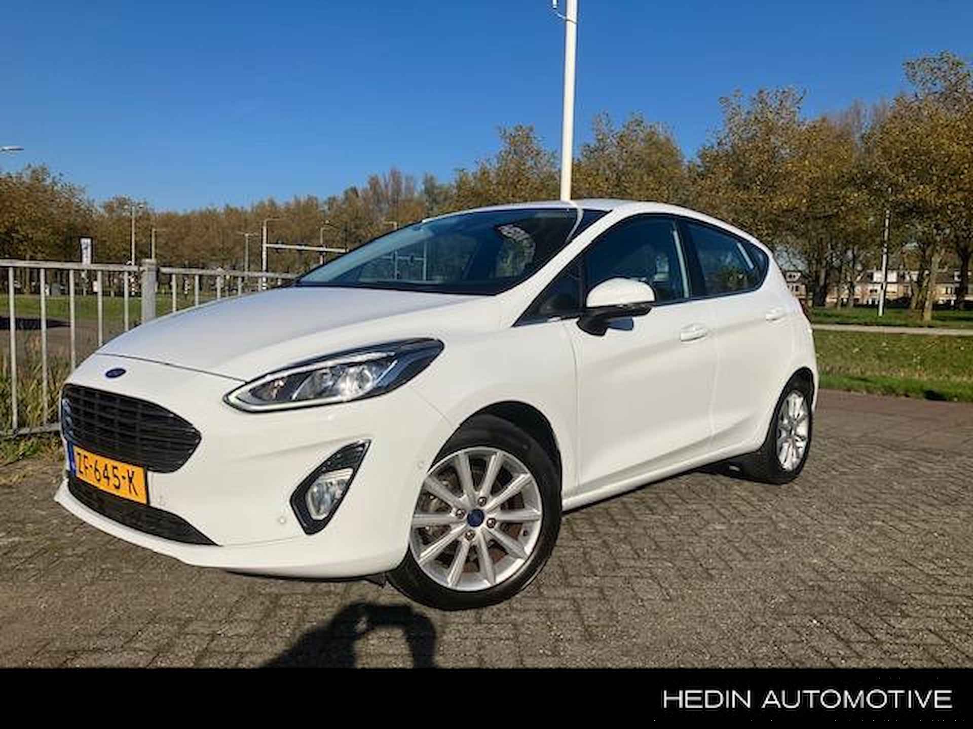 Ford Fiesta BOVAG 40-Puntencheck