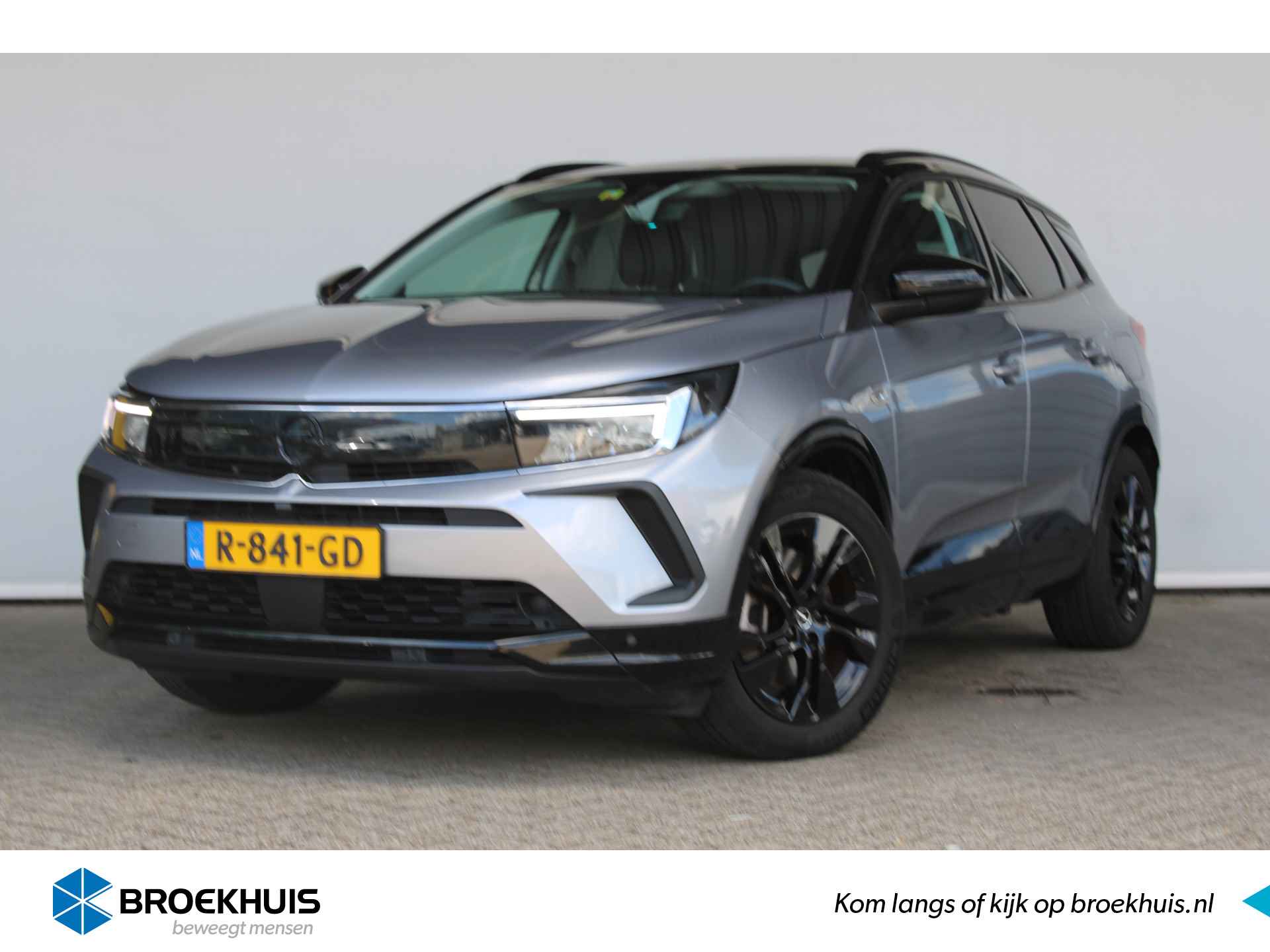 Opel Grandland X BOVAG 40-Puntencheck