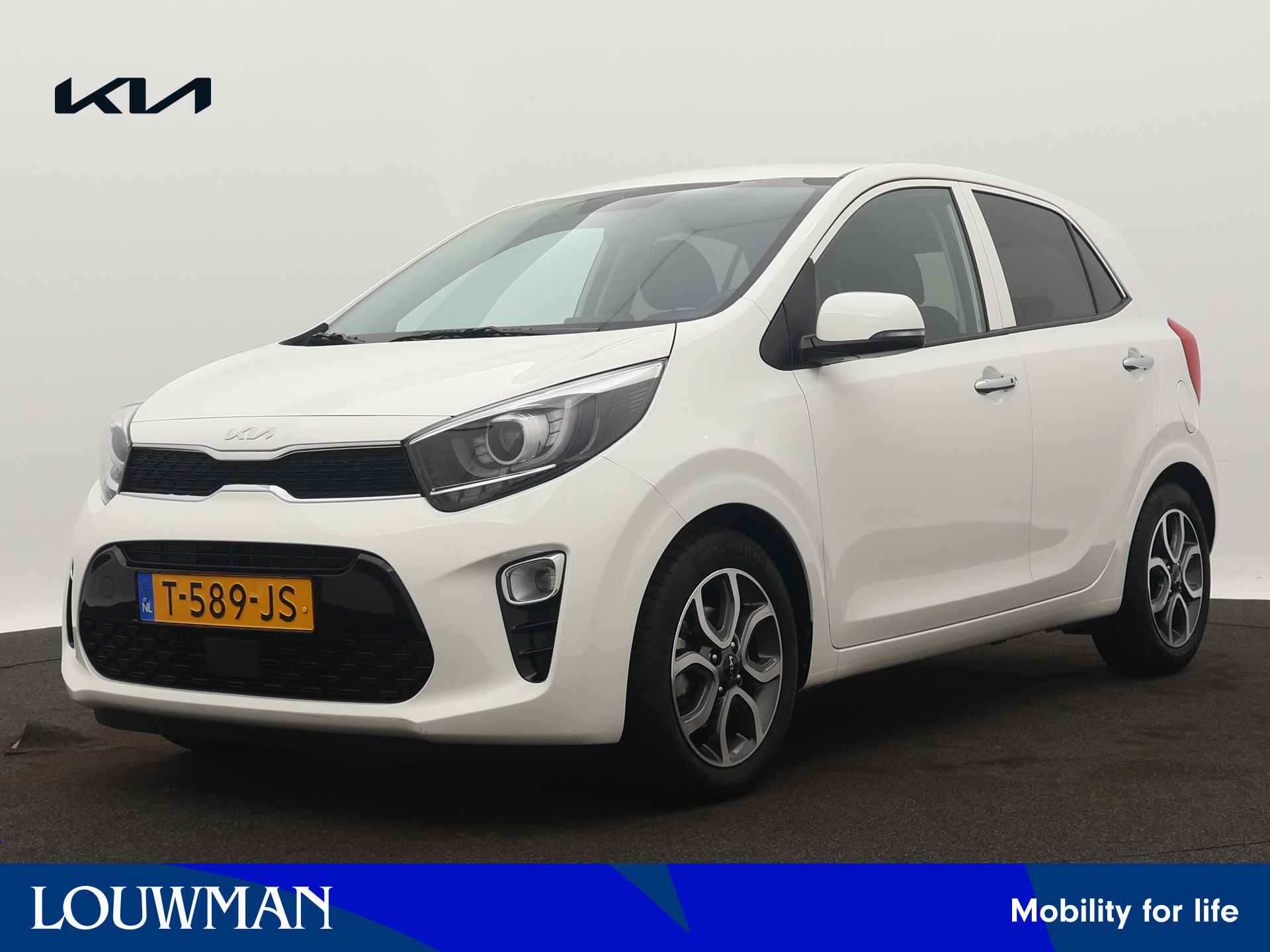 Kia Picanto BOVAG 40-Puntencheck