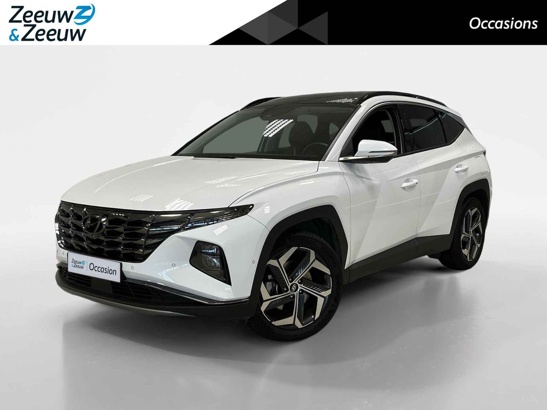 Hyundai Tucson BOVAG 40-Puntencheck