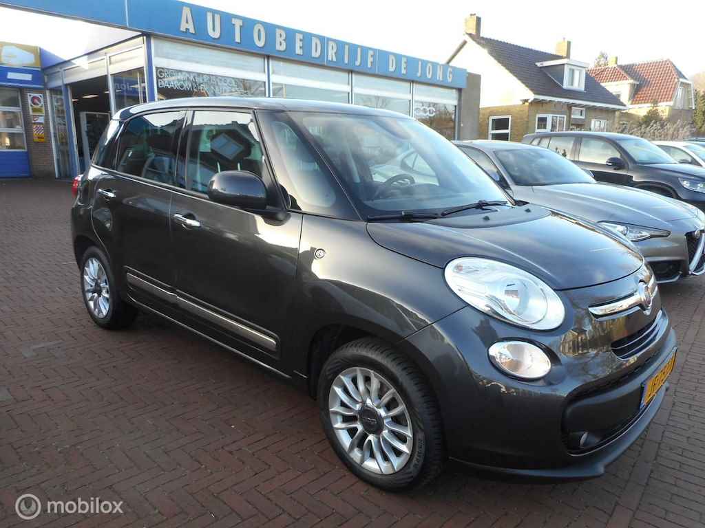 Fiat 500L BOVAG 40-Puntencheck