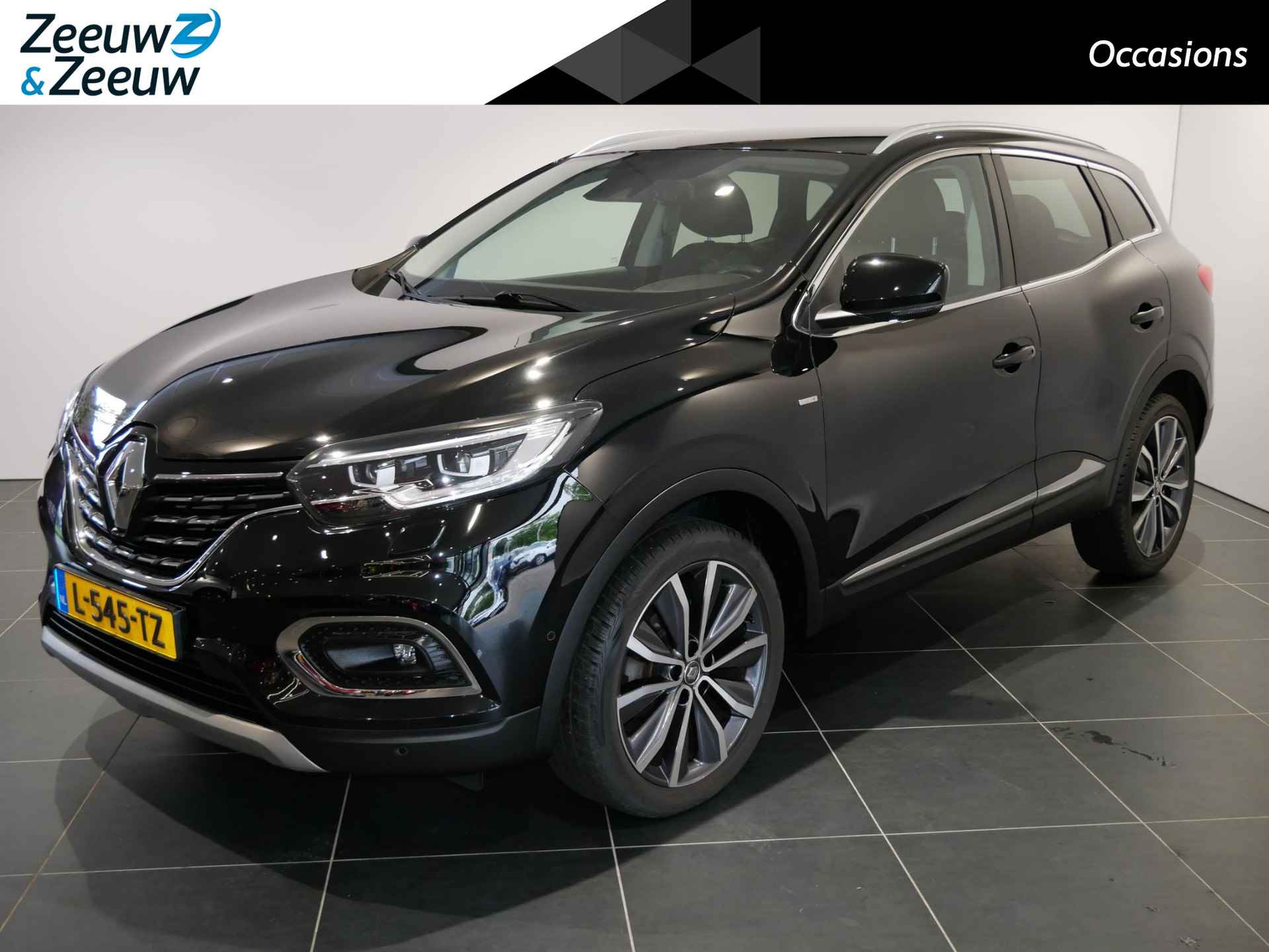 Renault Kadjar BOVAG 40-Puntencheck