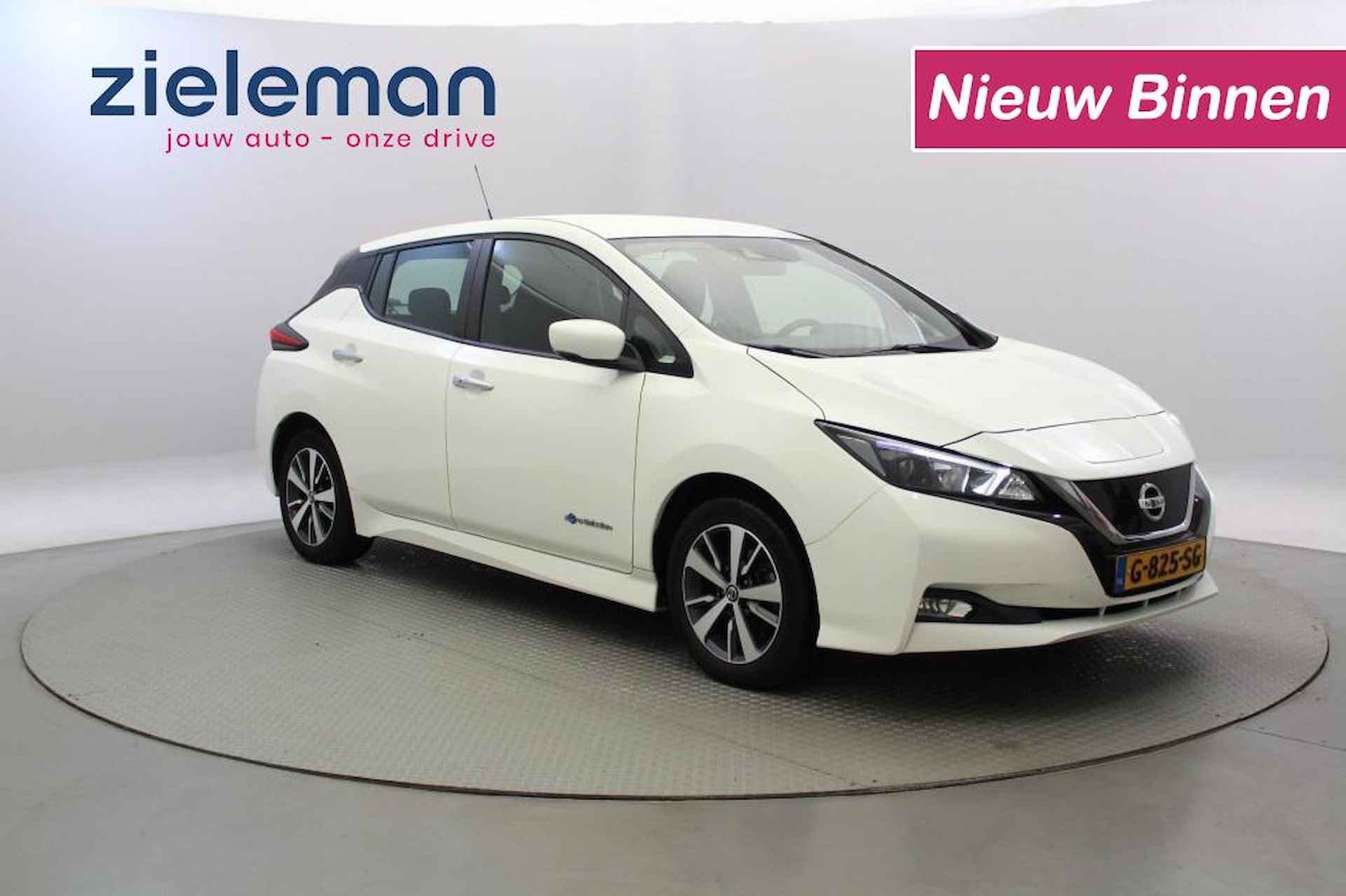 Nissan Leaf BOVAG 40-Puntencheck