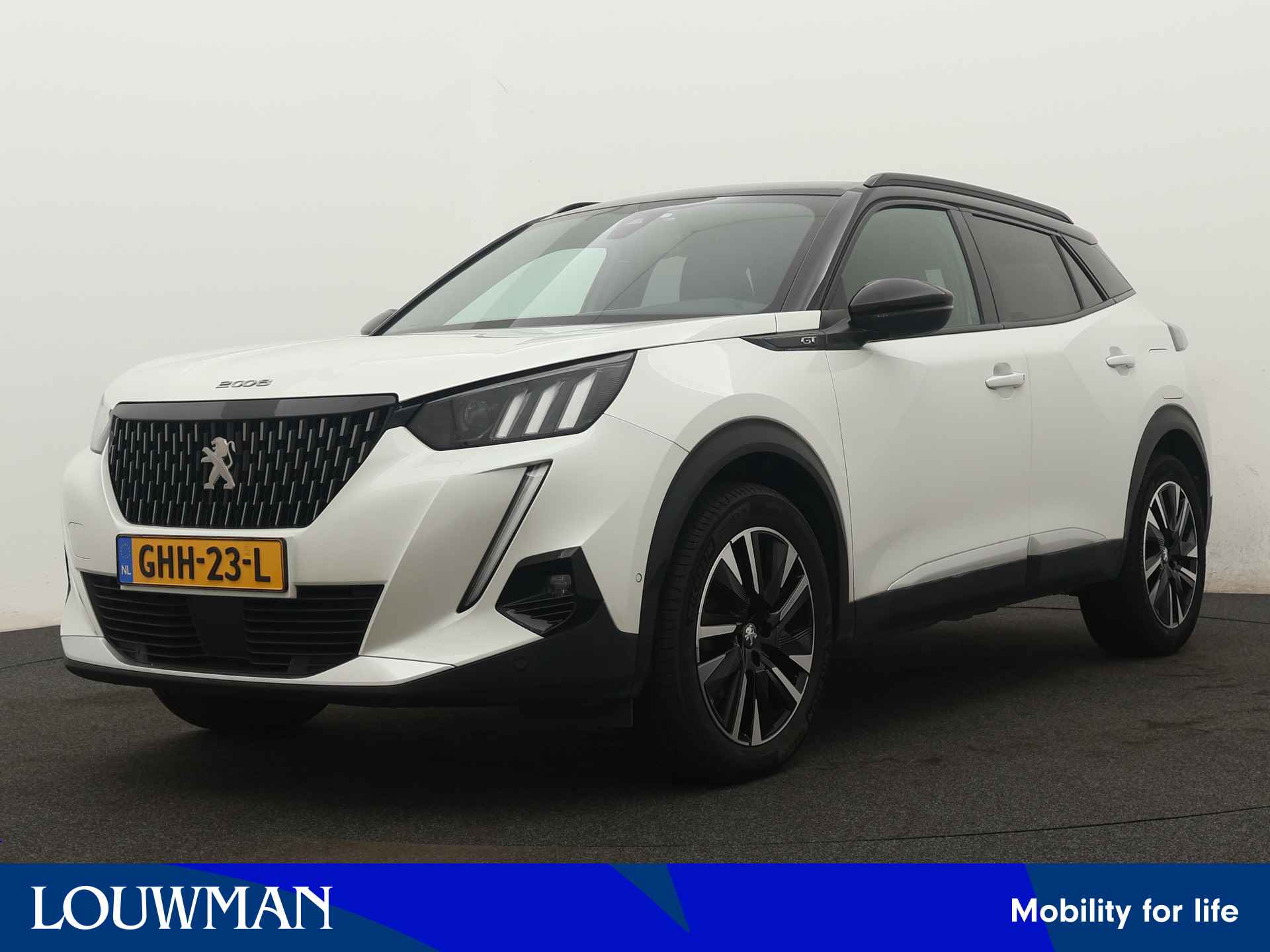 Peugeot 2008 BOVAG 40-Puntencheck