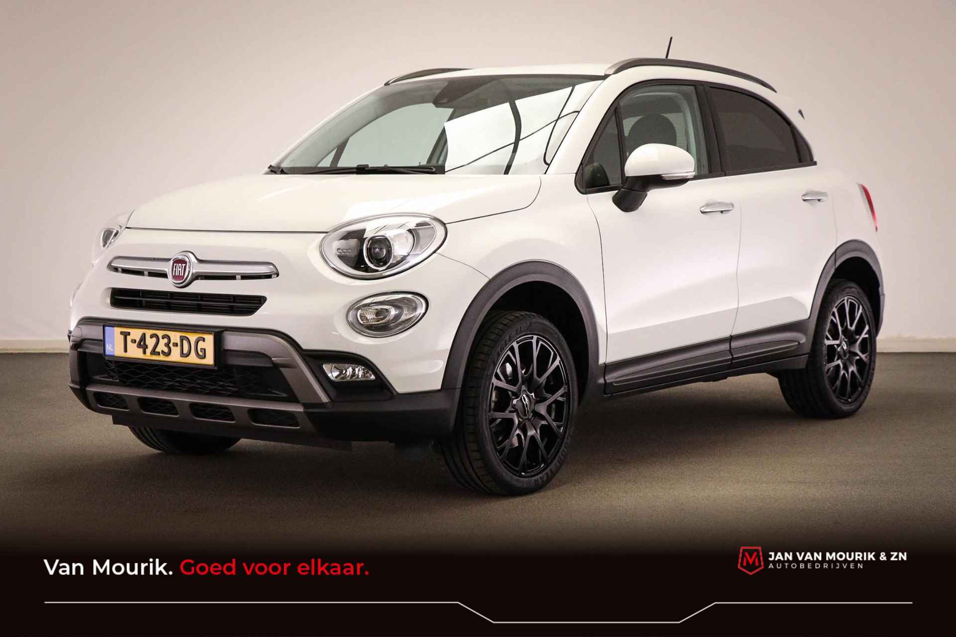 Fiat 500X BOVAG 40-Puntencheck