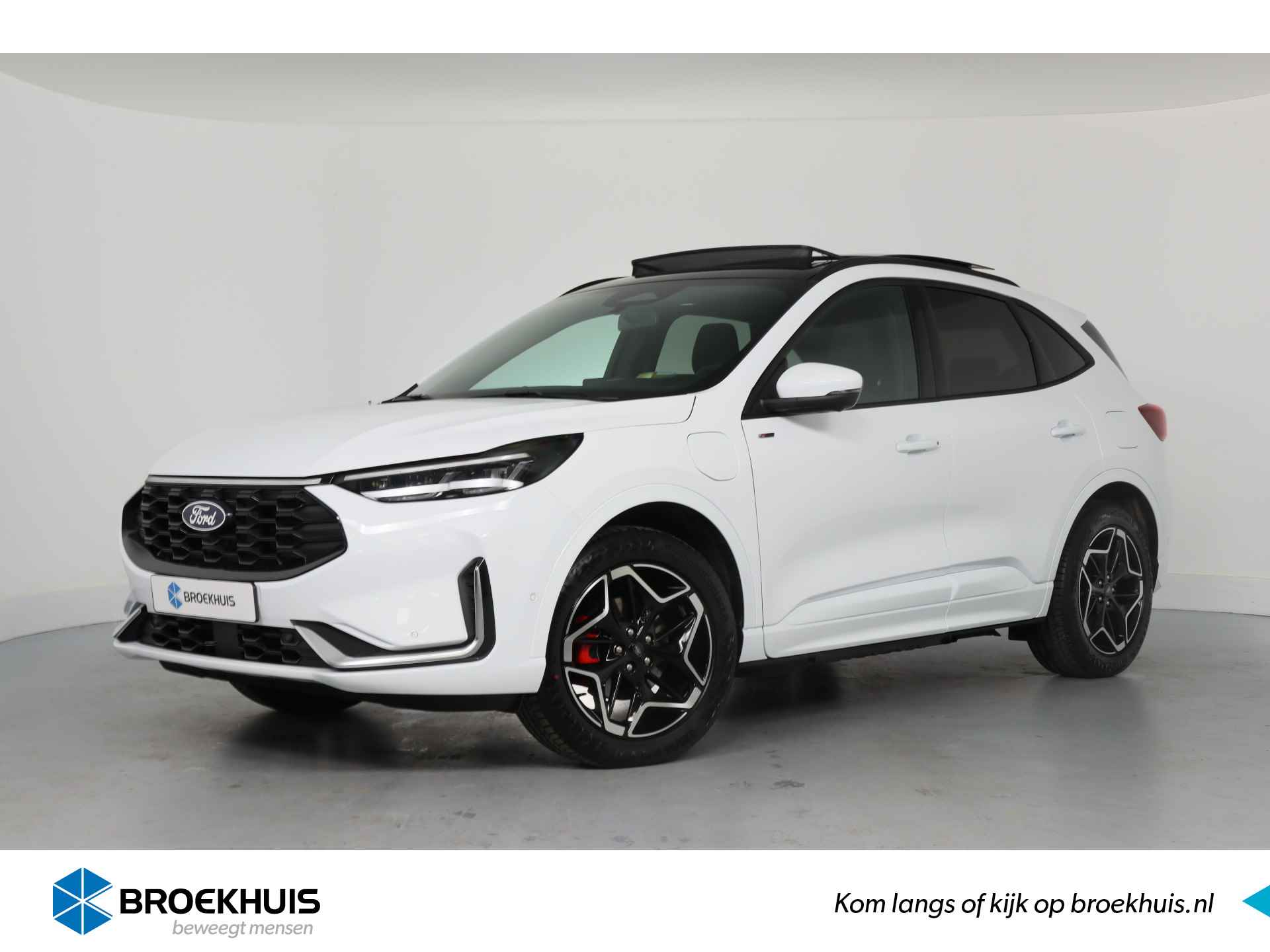 Ford Kuga BOVAG 40-Puntencheck