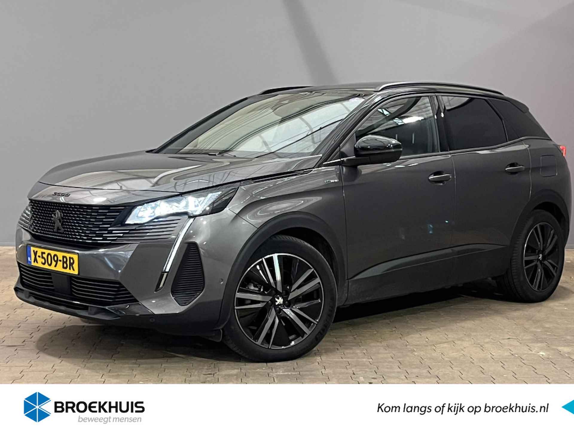 Peugeot 3008 BOVAG 40-Puntencheck