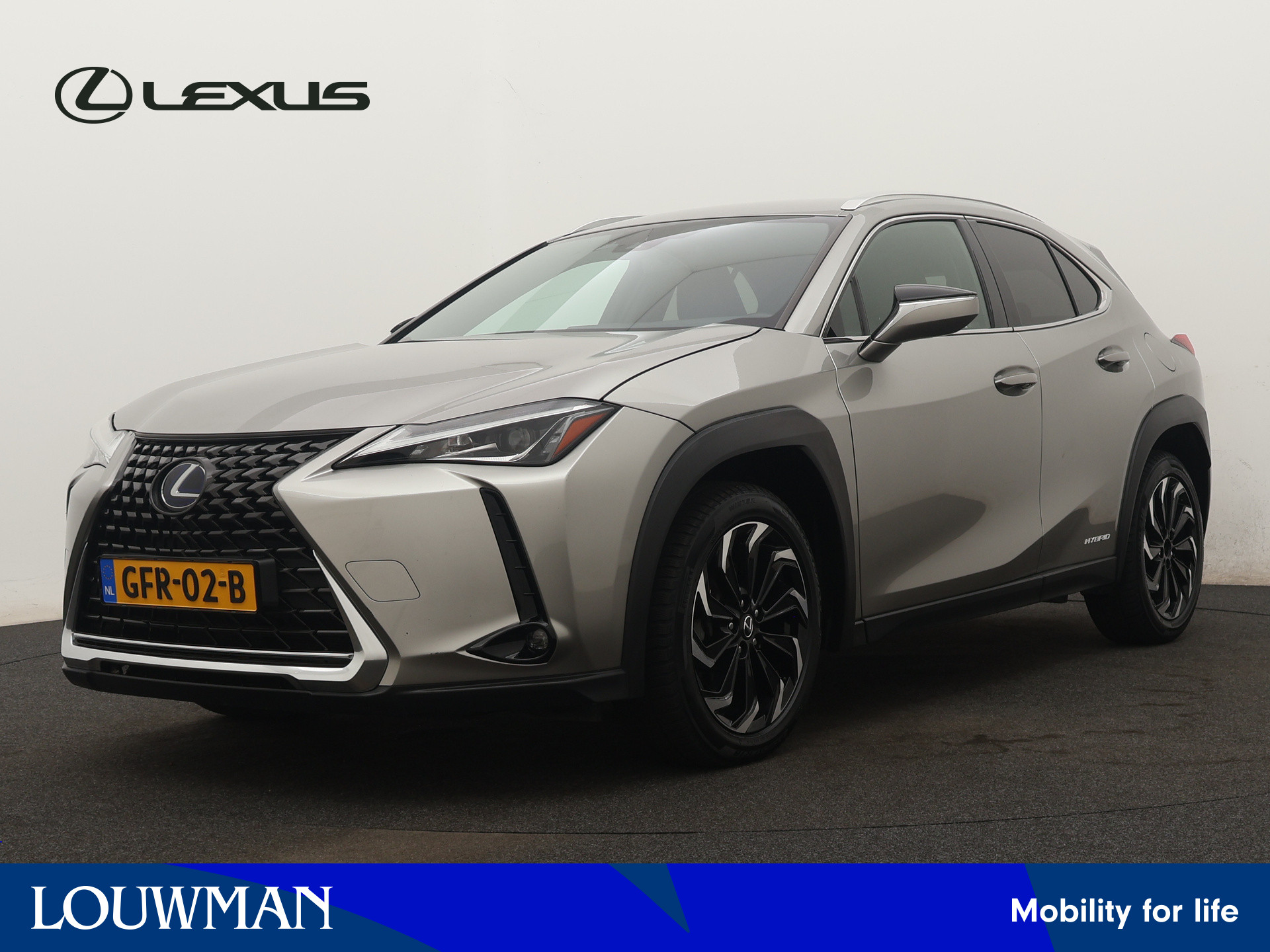 Lexus UX 250H Premium Lease Limited | Navigatie |  Achteruitrijcamera | Climate Control | 18" lichtmetalen velgen | Privacy Glass |