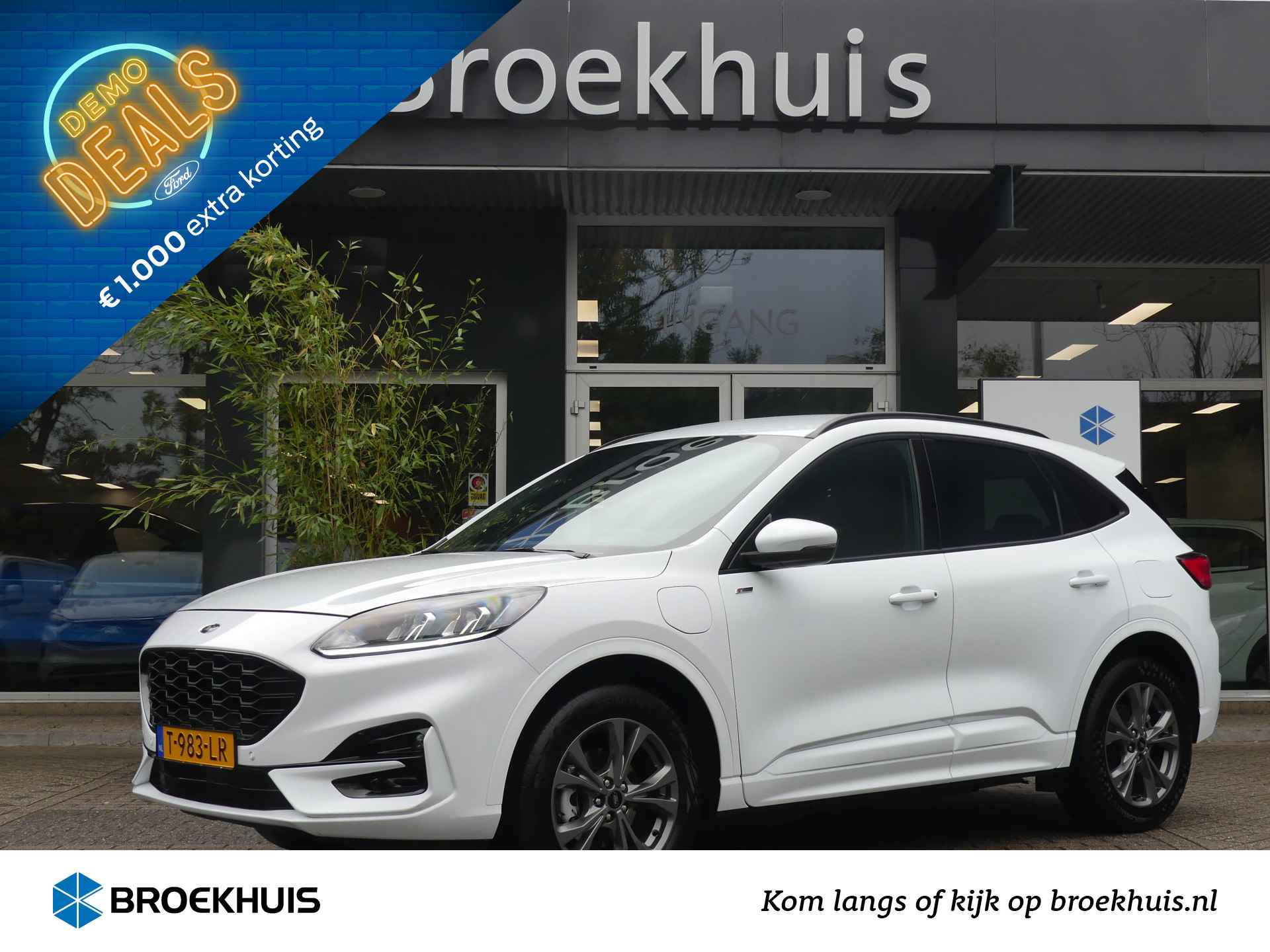 Ford Kuga BOVAG 40-Puntencheck