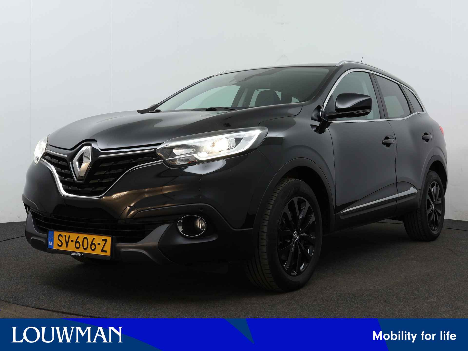 Renault Kadjar BOVAG 40-Puntencheck