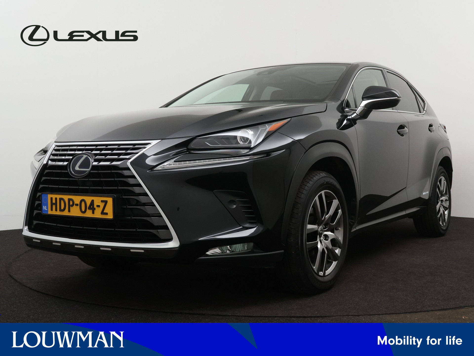 Lexus NX 300h AWD Luxury Edition Limited | Verwarmde voorstoelen | Panoramadak |