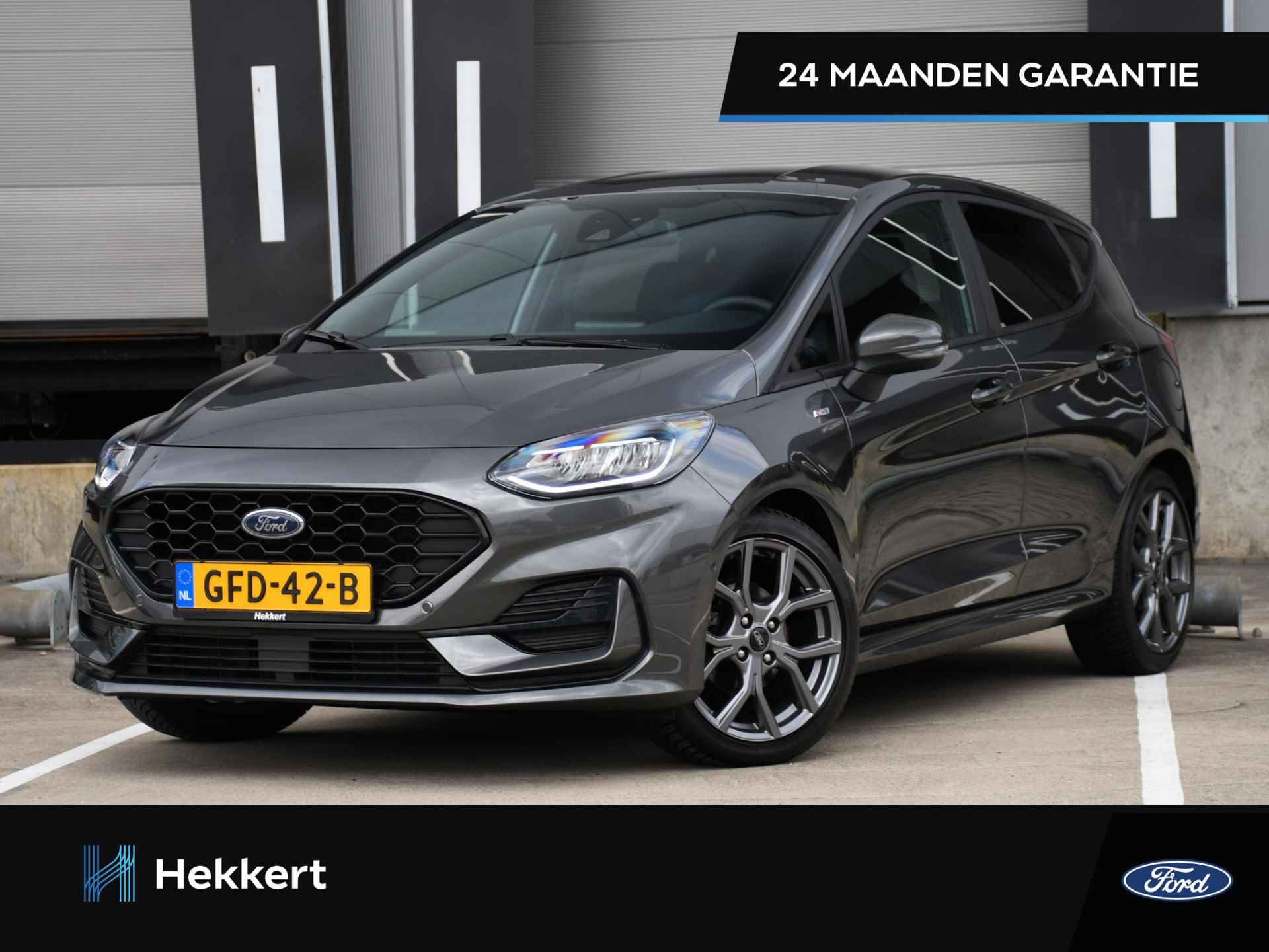 Ford Fiesta BOVAG 40-Puntencheck