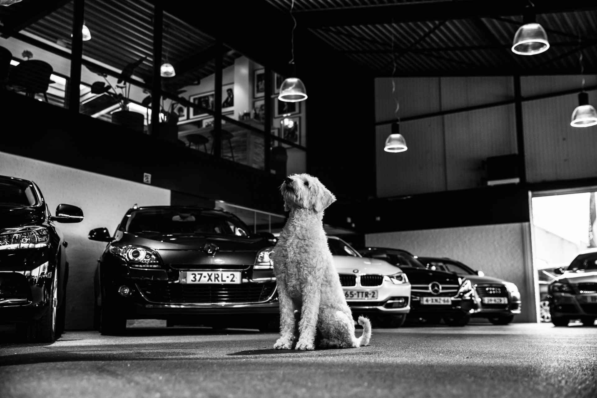 BMW 3 Serie 318i Edition Luxury Sport Automaat (GROOT NAVI, DIGITAL COCKPIT, STUUR/STOELVERWARMING, LEDEREN SPORTSTOELEN, ZWART HEMEL, CAMERA, LED KOPLAMPEN, NIEUWE APK, NIEUWSTAAT) - 39/42
