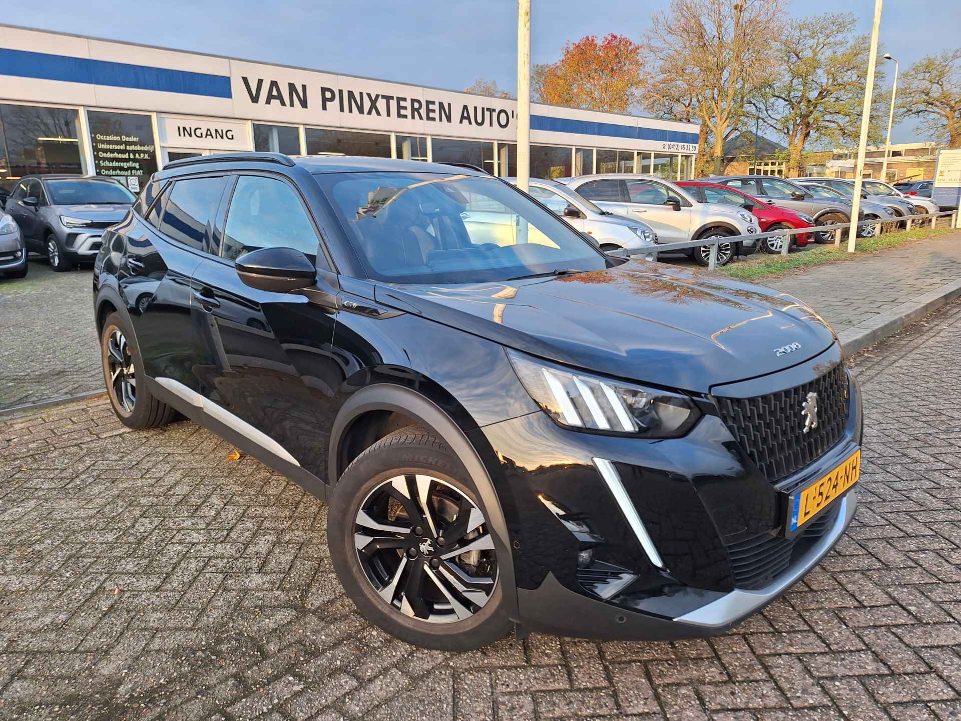 Peugeot 2008 BOVAG 40-Puntencheck