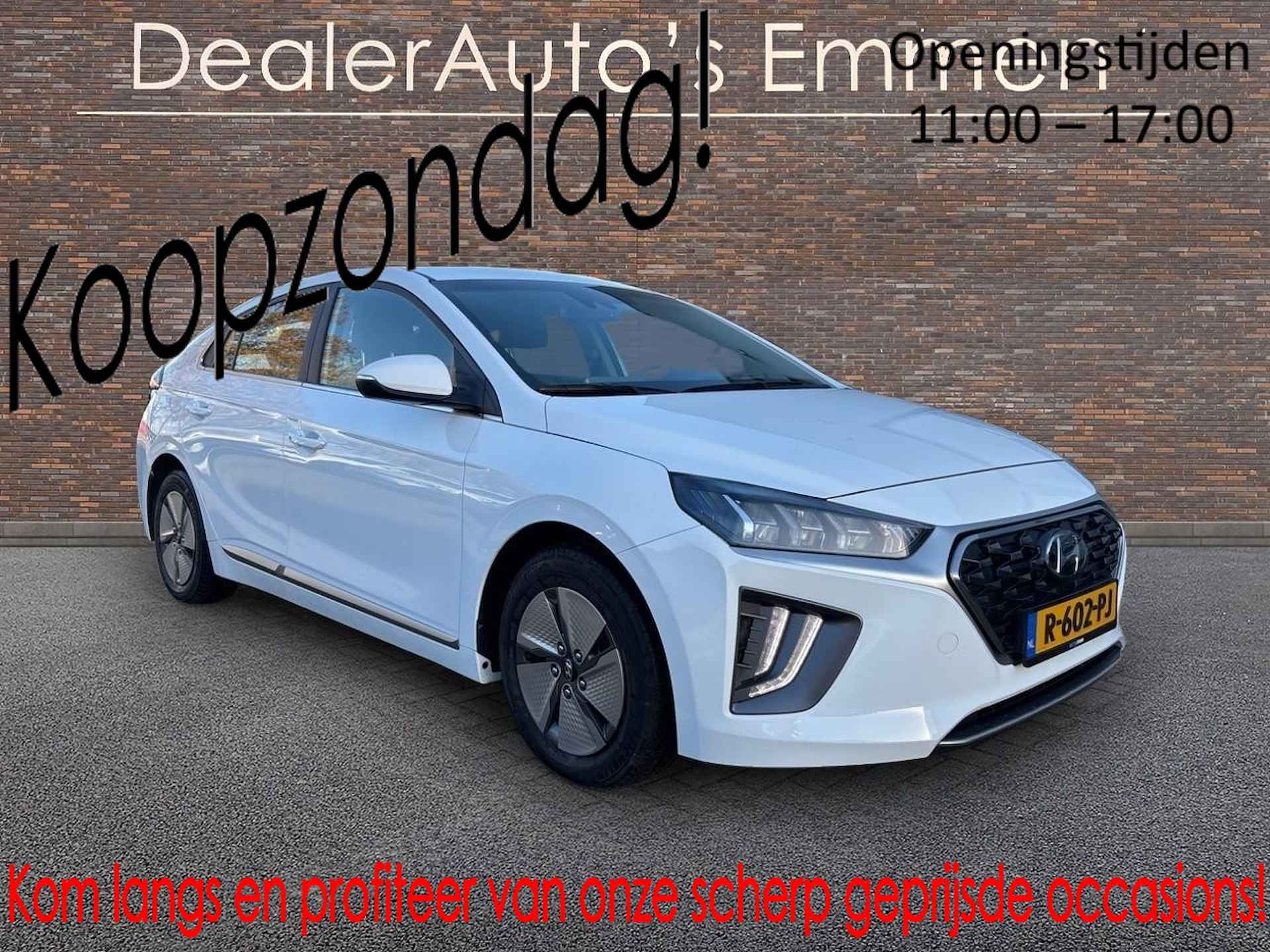 Hyundai Ioniq BOVAG 40-Puntencheck