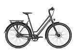 GAZELLE Chamonix S11 Lage instap Cloud Grey Mat 57cm 2025