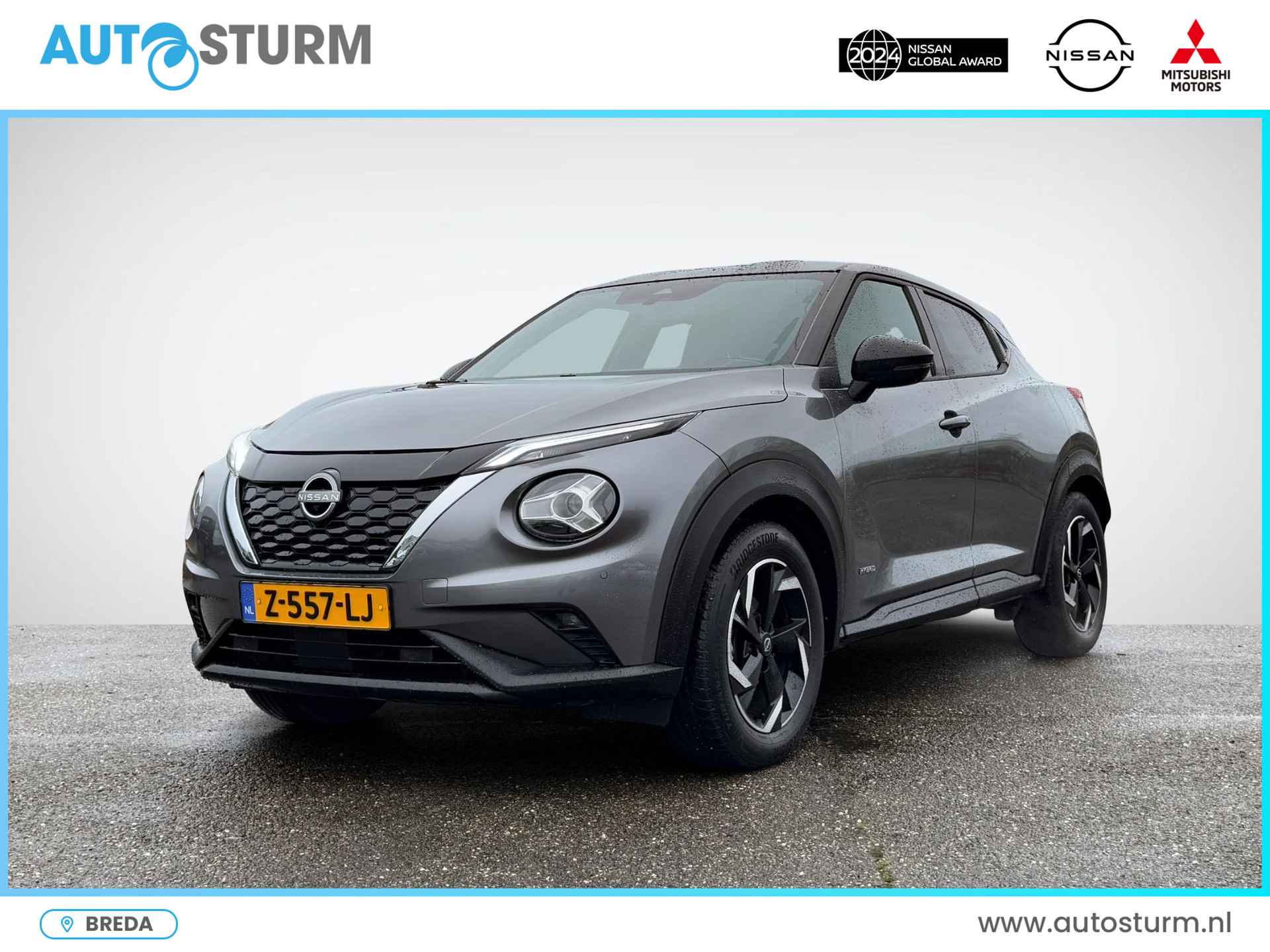 Nissan Juke BOVAG 40-Puntencheck