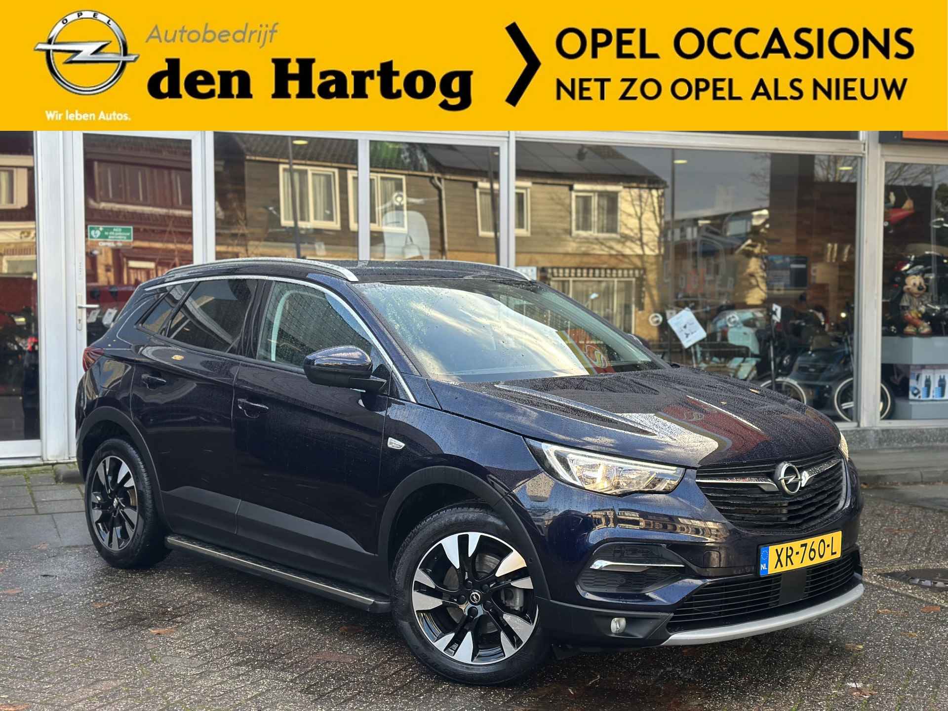 Opel Grandland X BOVAG 40-Puntencheck