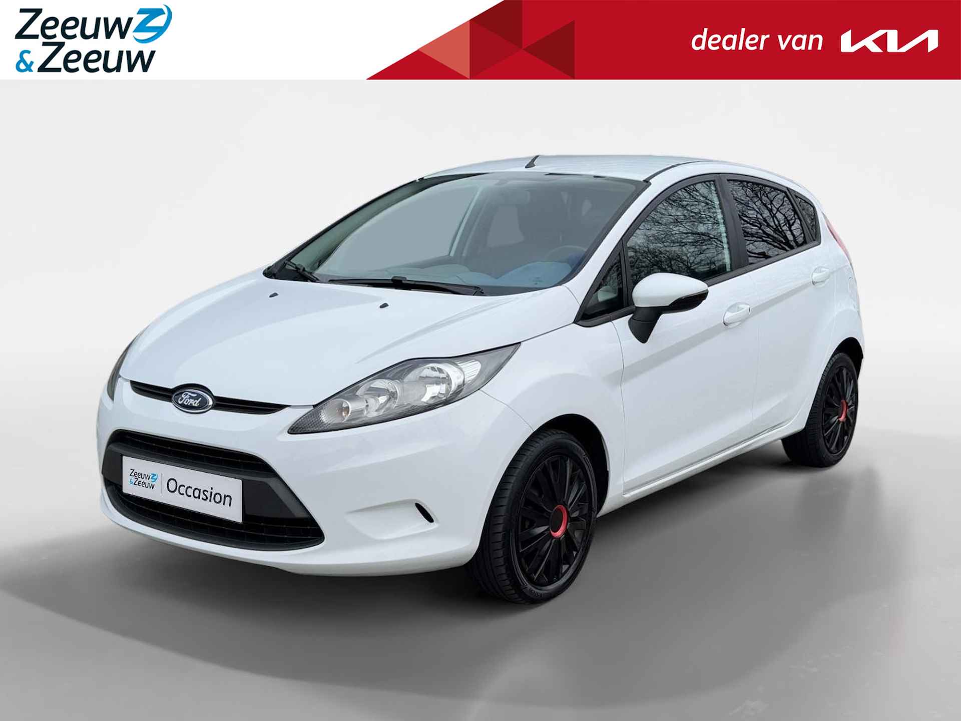 Ford Fiesta BOVAG 40-Puntencheck