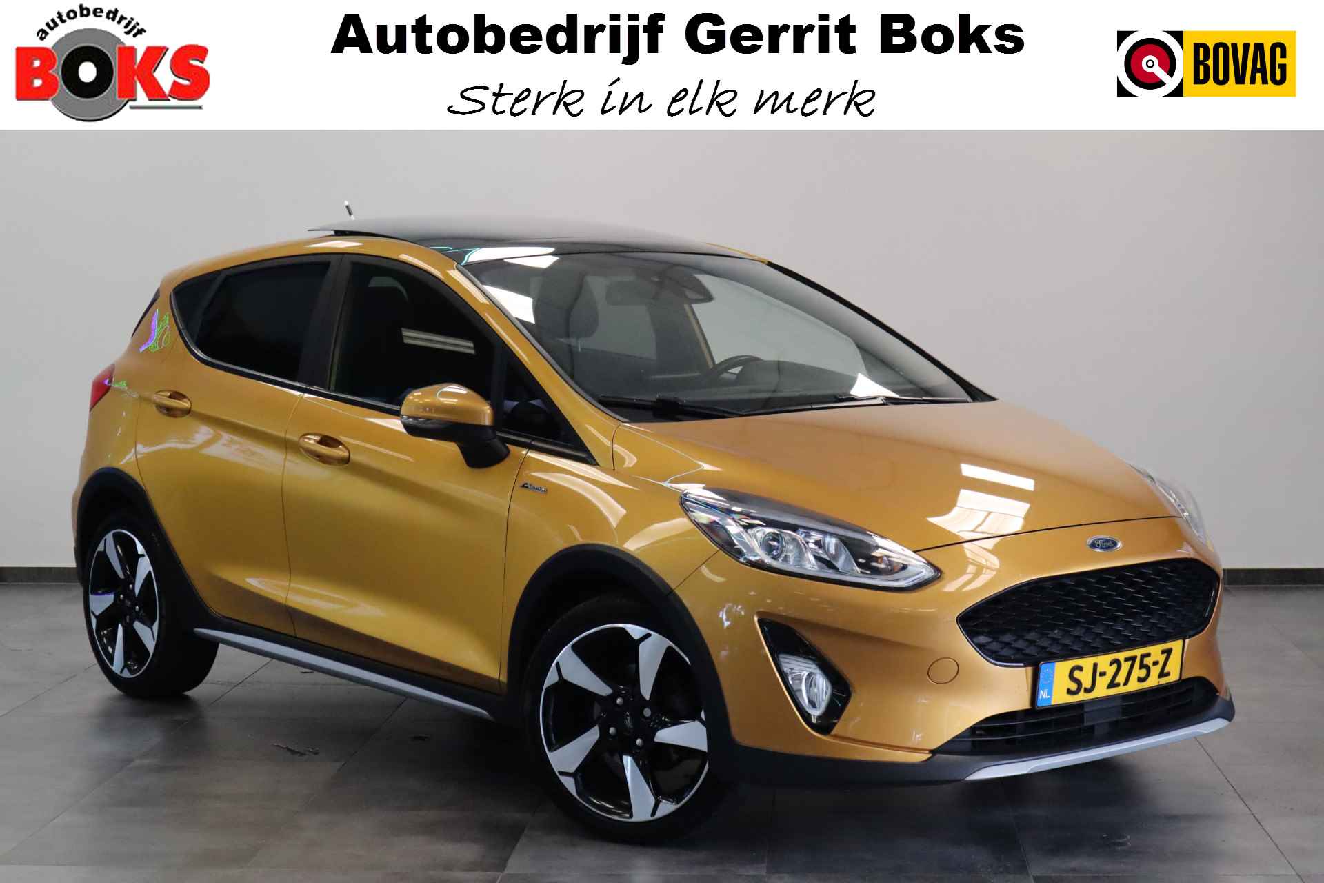 Ford Fiesta BOVAG 40-Puntencheck