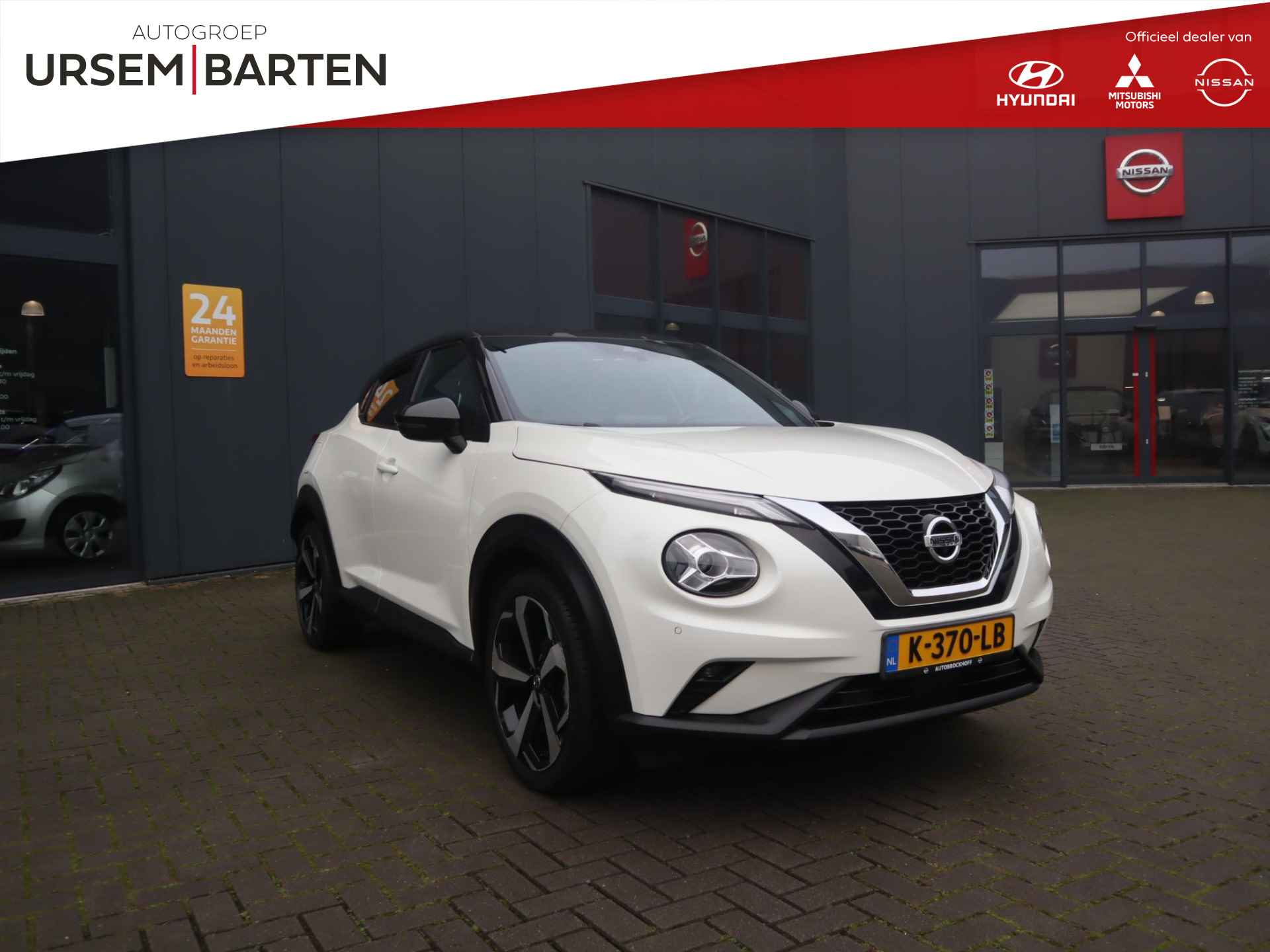 Nissan Juke BOVAG 40-Puntencheck