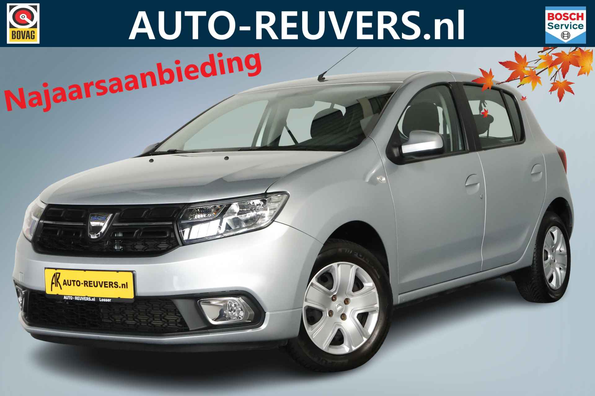 Dacia Sandero BOVAG 40-Puntencheck