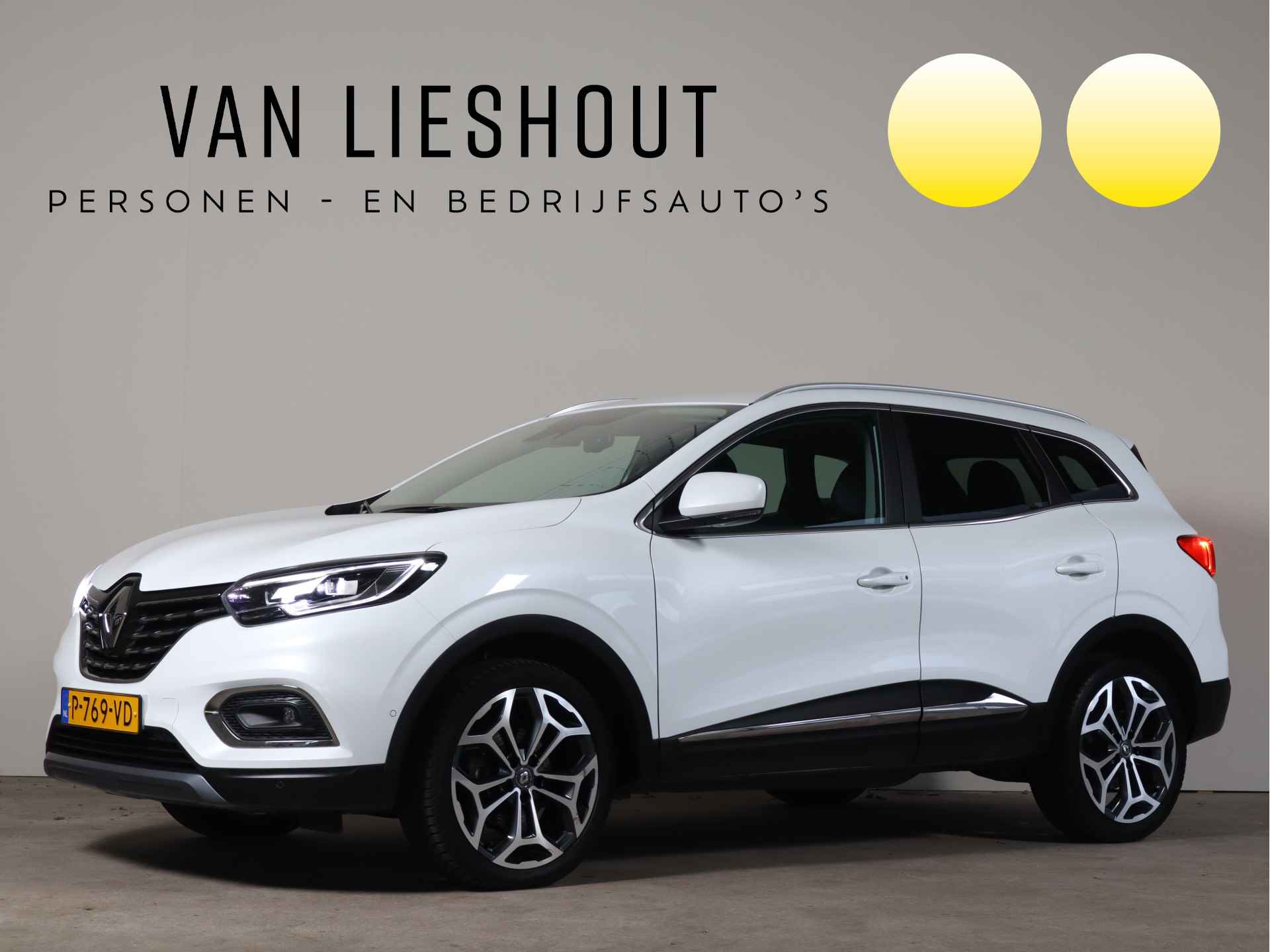 Renault Kadjar BOVAG 40-Puntencheck