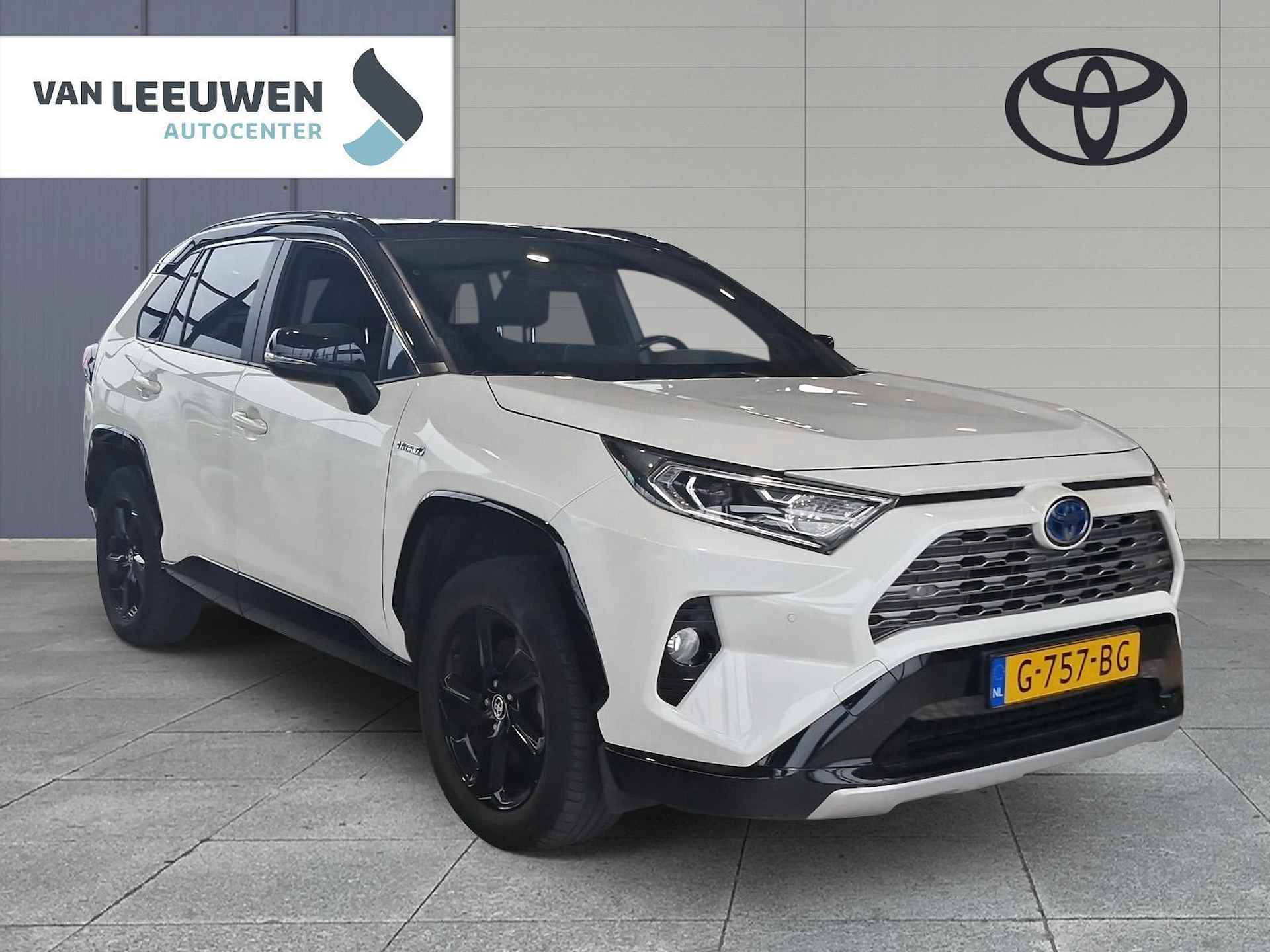 Toyota RAV4 2.5 Hybrid Bi-Tone - 3/19