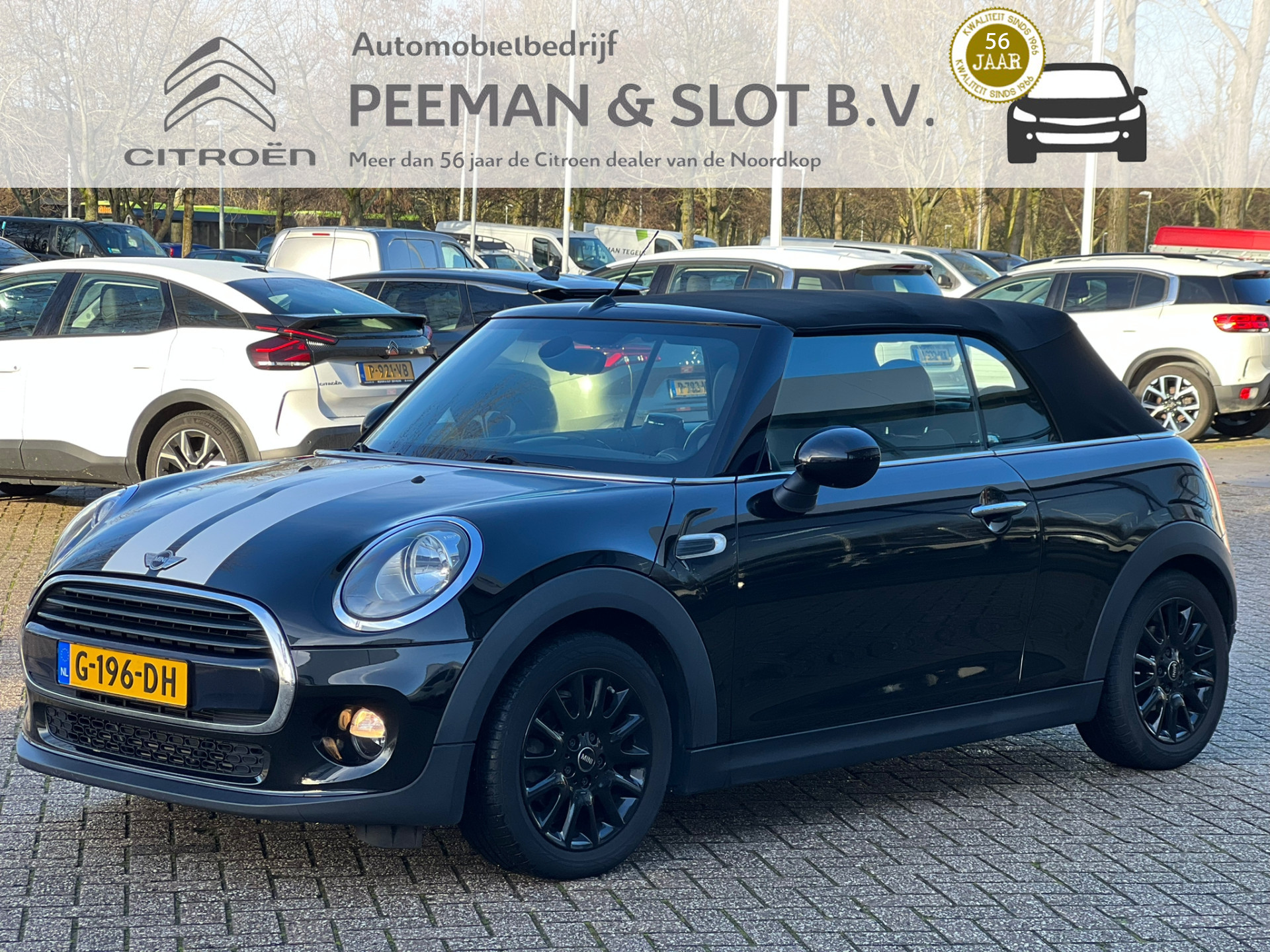 MINI Cabrio 1.5 Cooper Pepper Serious Business