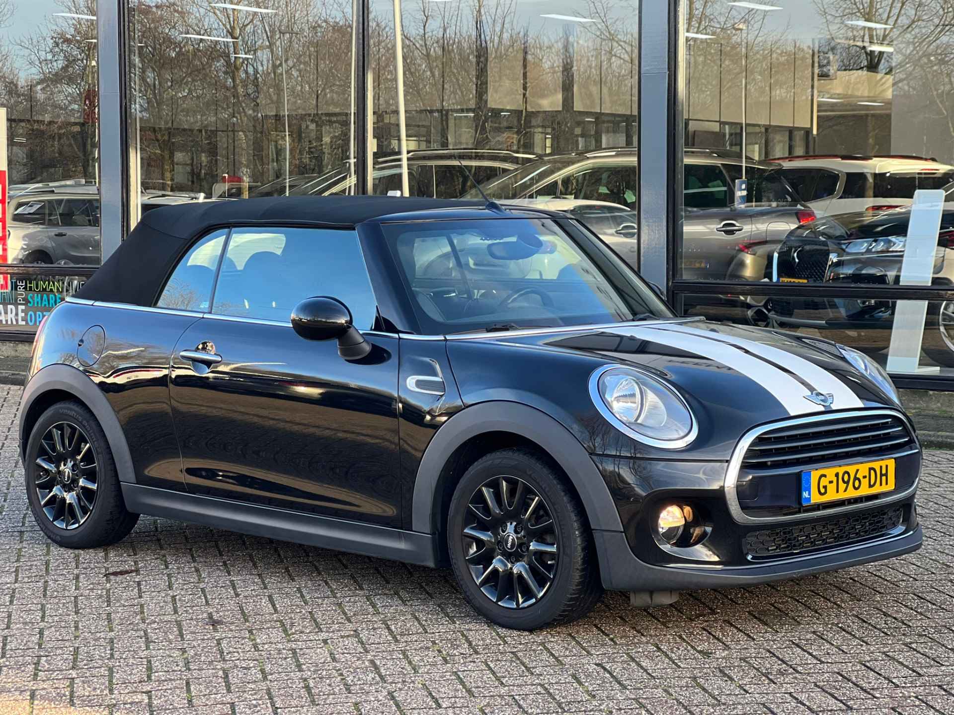 MINI Cabrio 1.5 Cooper Pepper Serious Business - 4/33